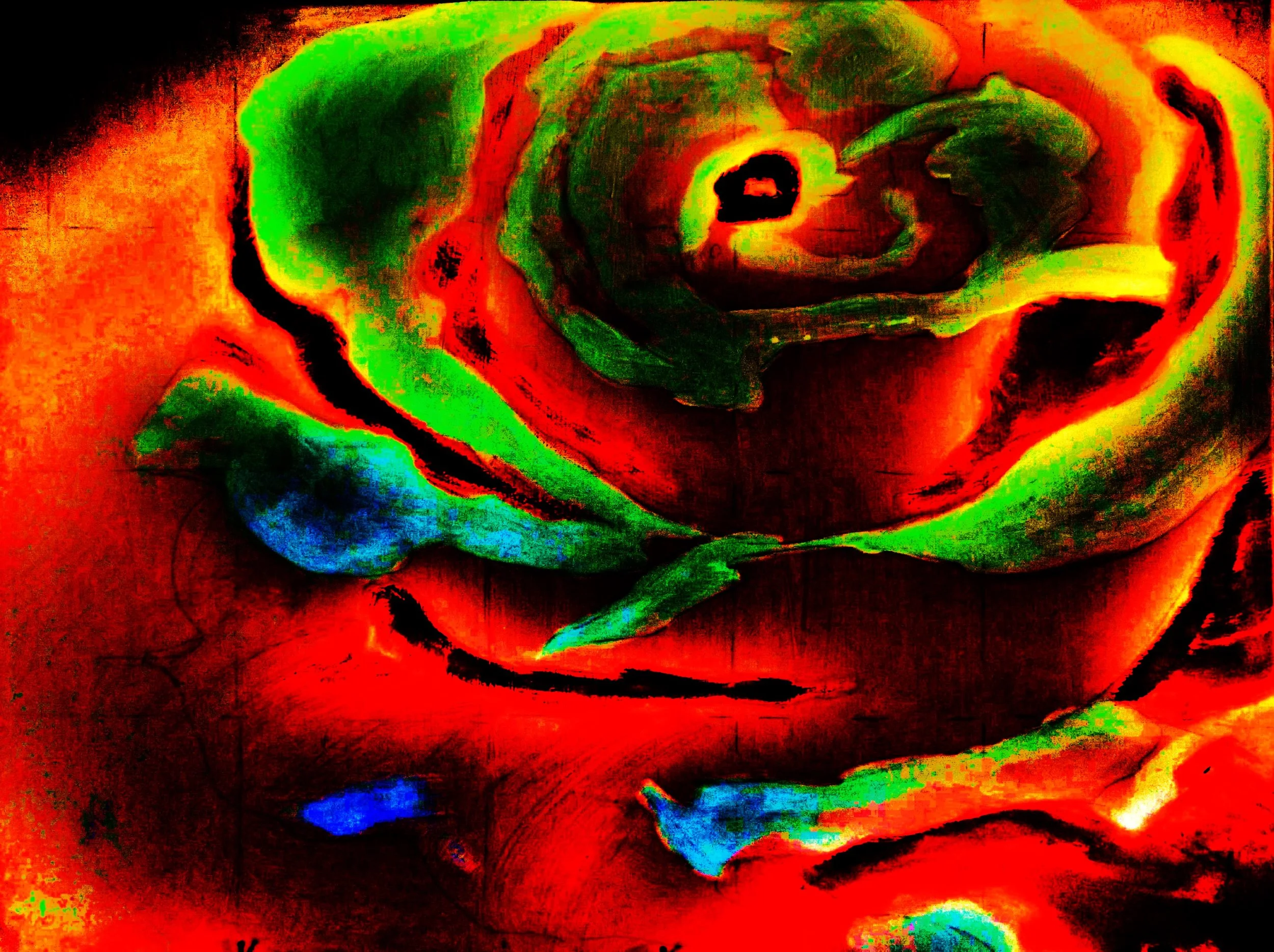 A highly stylized, digitally altered image of a rose with vibrant, surreal colors, including red, green, blue, and black.