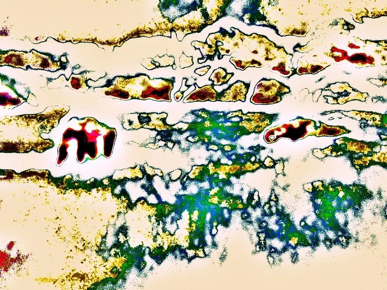 Abstract image with distorted textures and vibrant colors, resembling a stylized landscape or underwater scene.