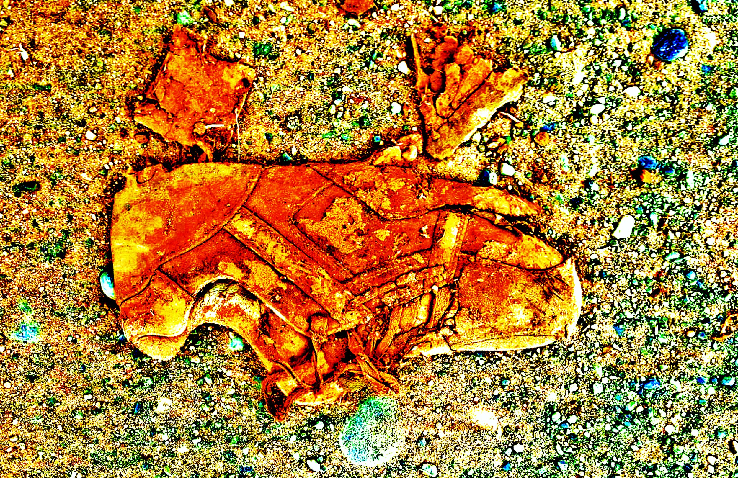 A close-up of a brown, dried leaf on sandy ground with small pebbles.