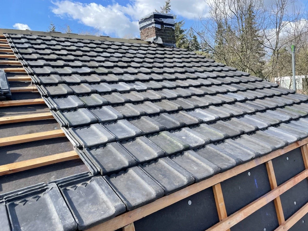 dakpannen3 Groot.jpeg