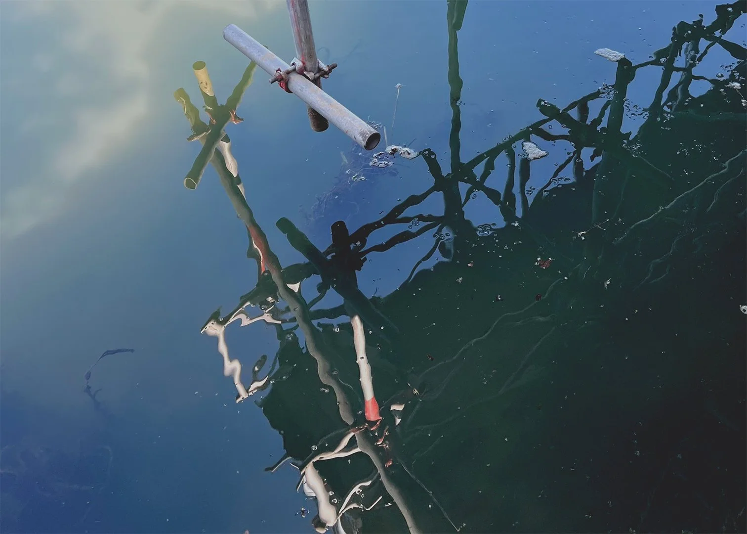 SHM Scaffold progress photo HD.jpg