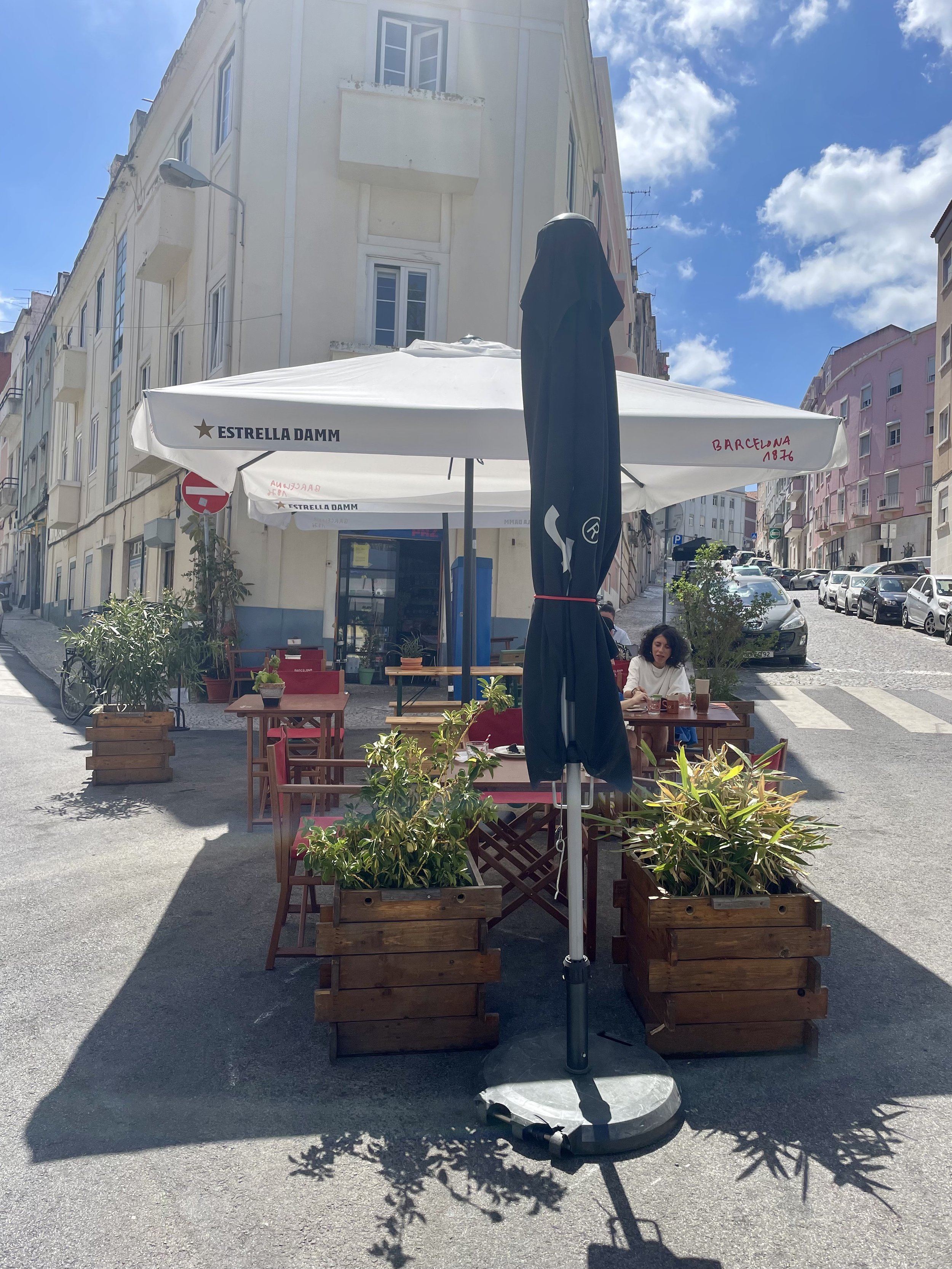 Photo reference.jpeg