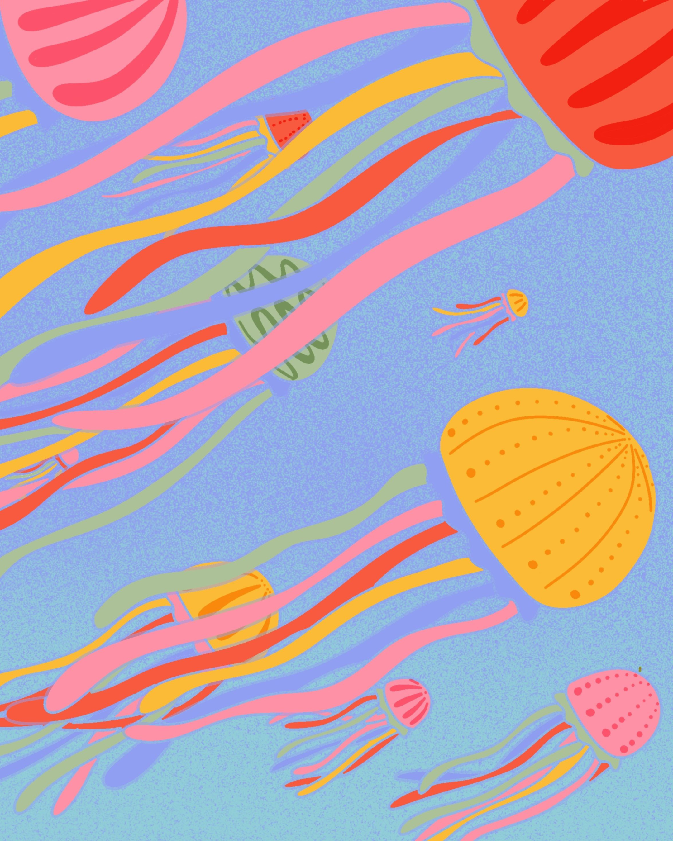 Close up méduses.PNG