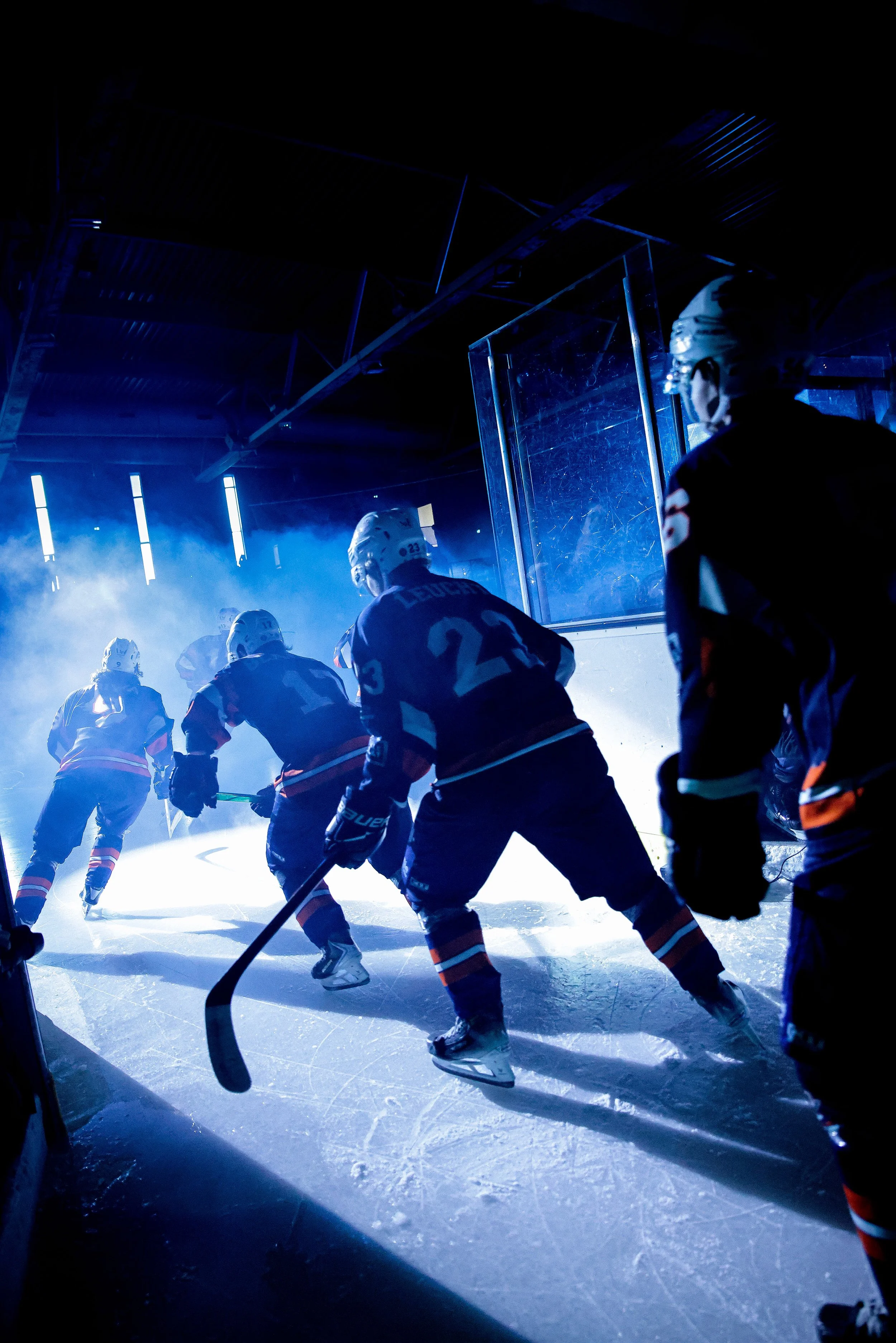 Une équipe de hockey professionnelle