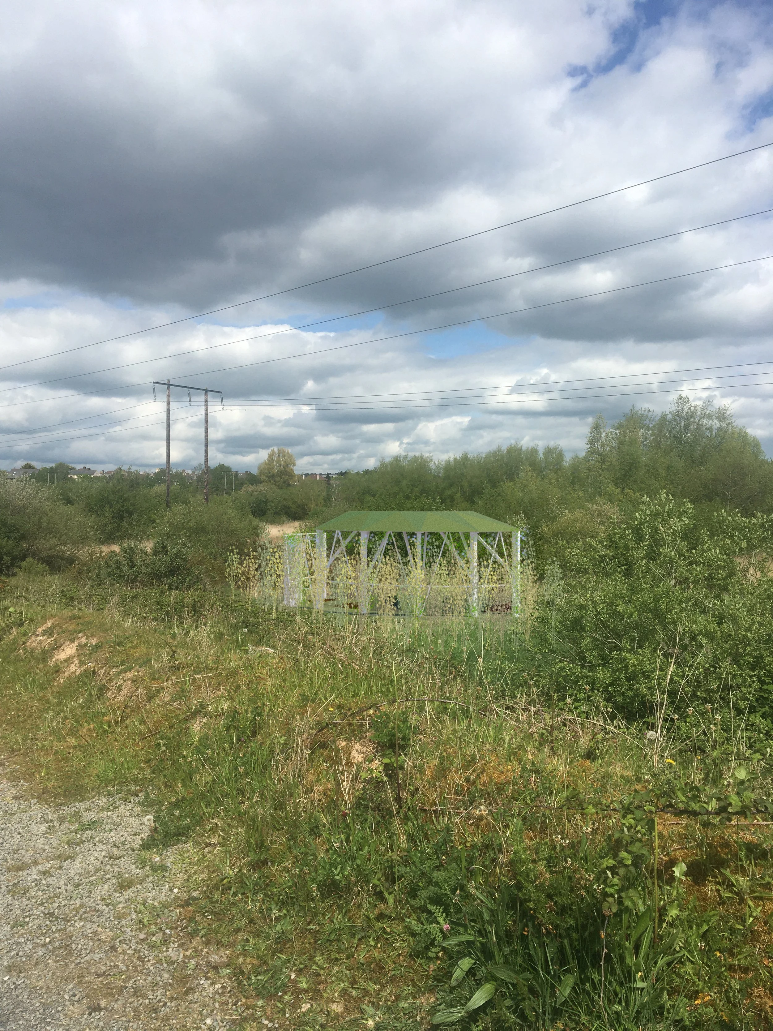 Kinship