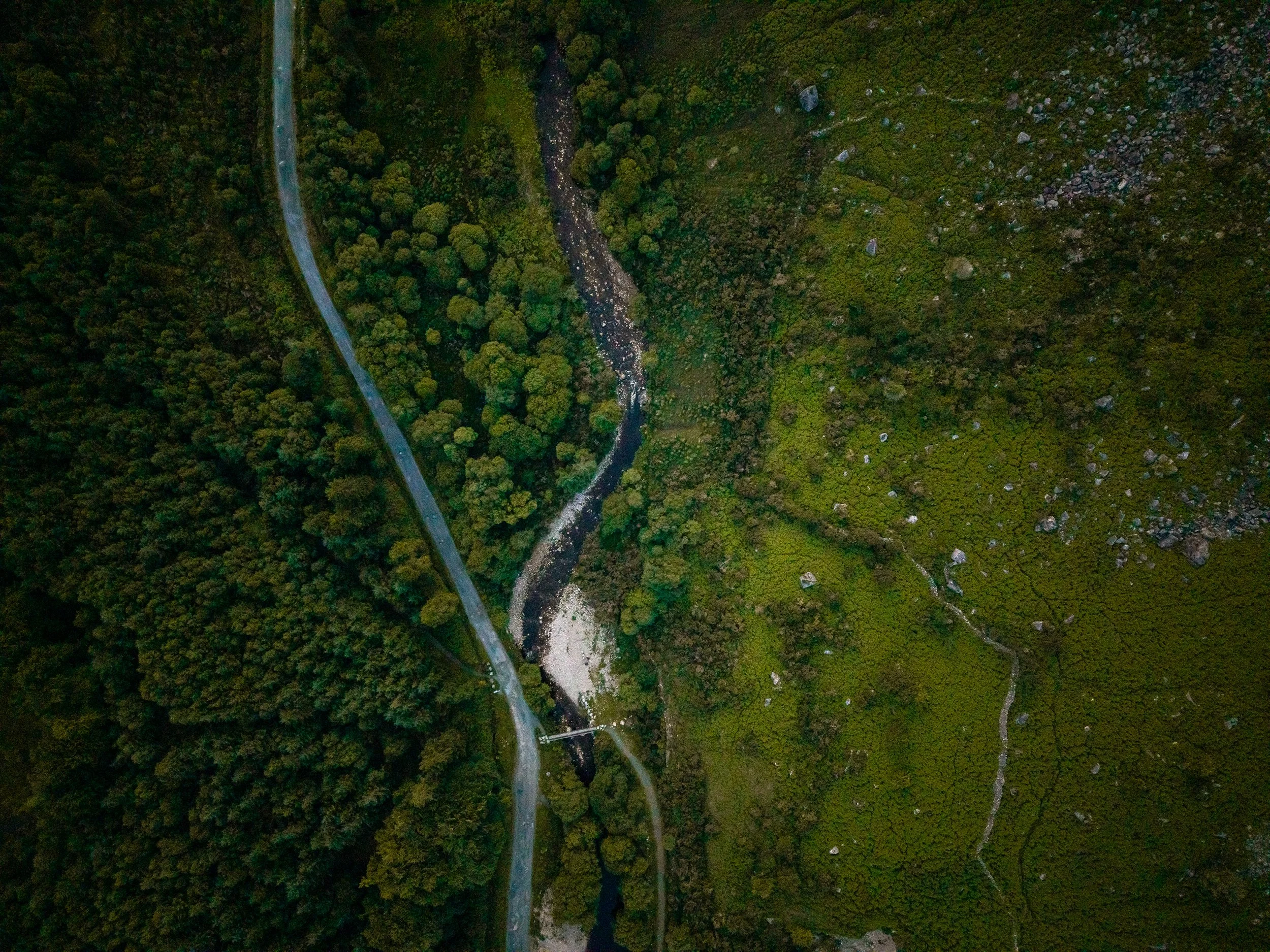 The River Alive