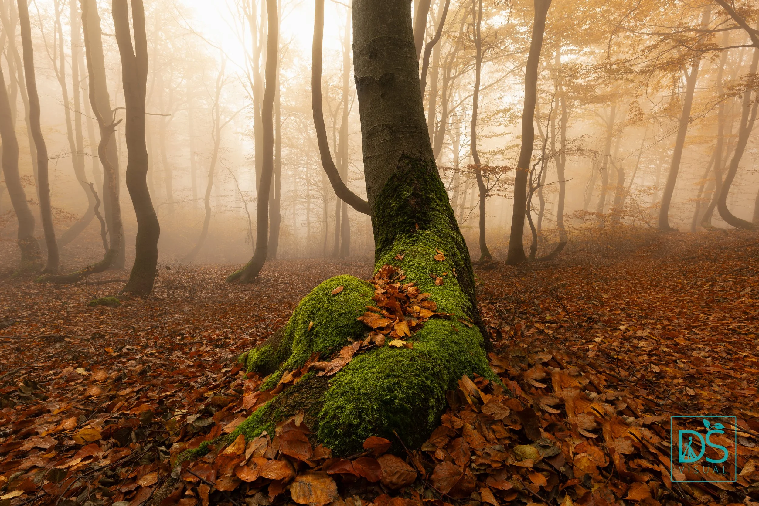 Bouřňák listopad (4 of 9).jpg