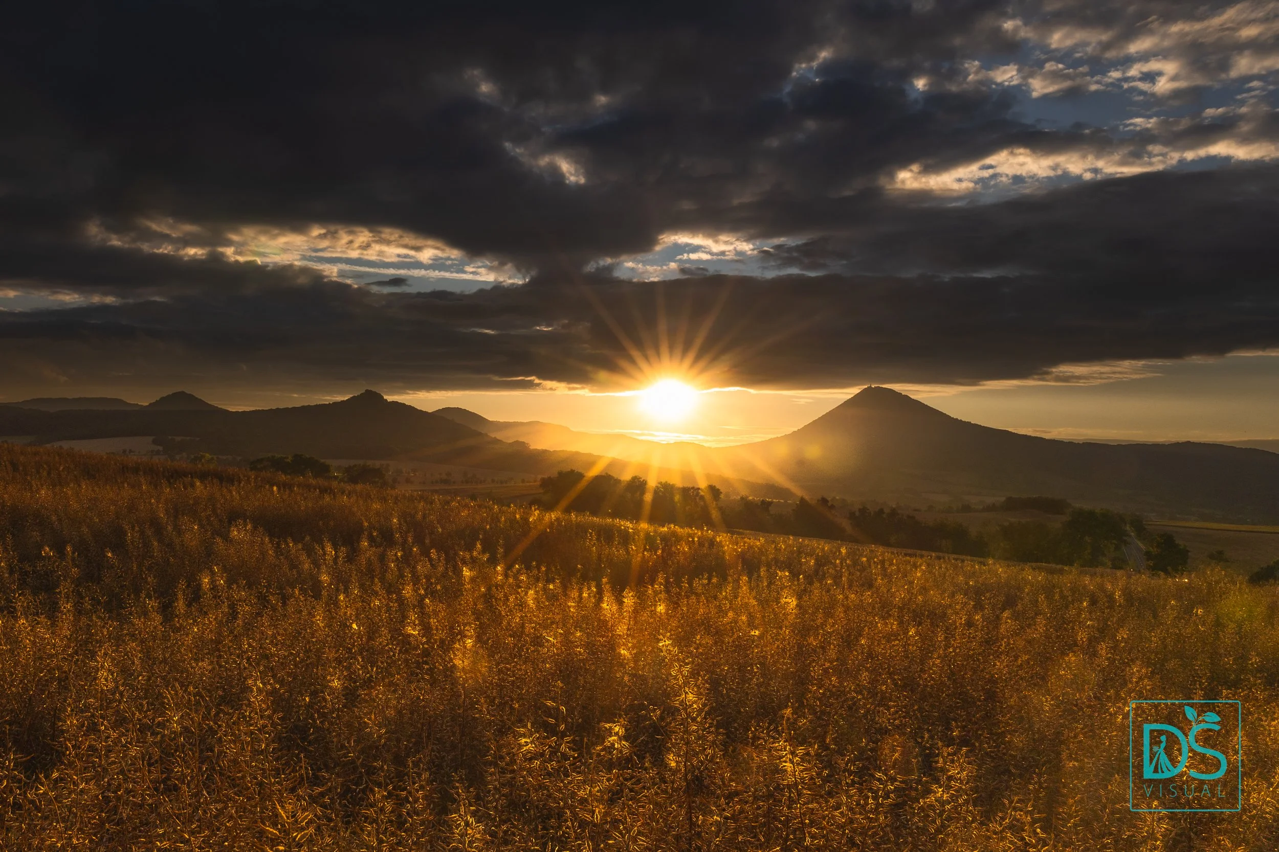 Zlatý zapad s Míšou.jpg
