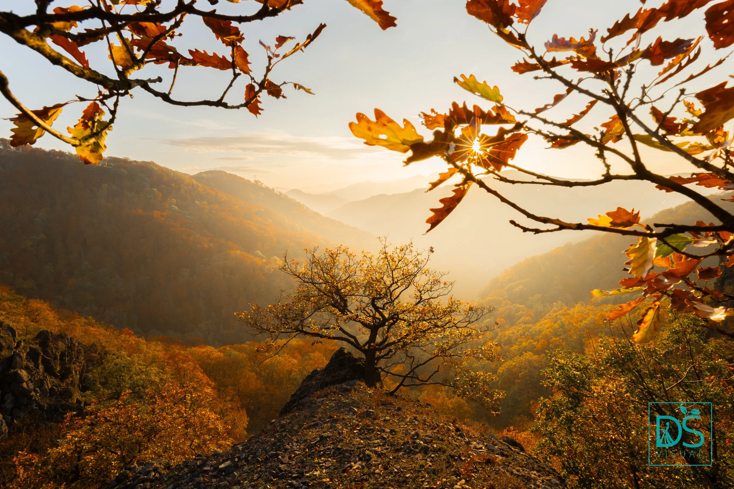 České Středohoří