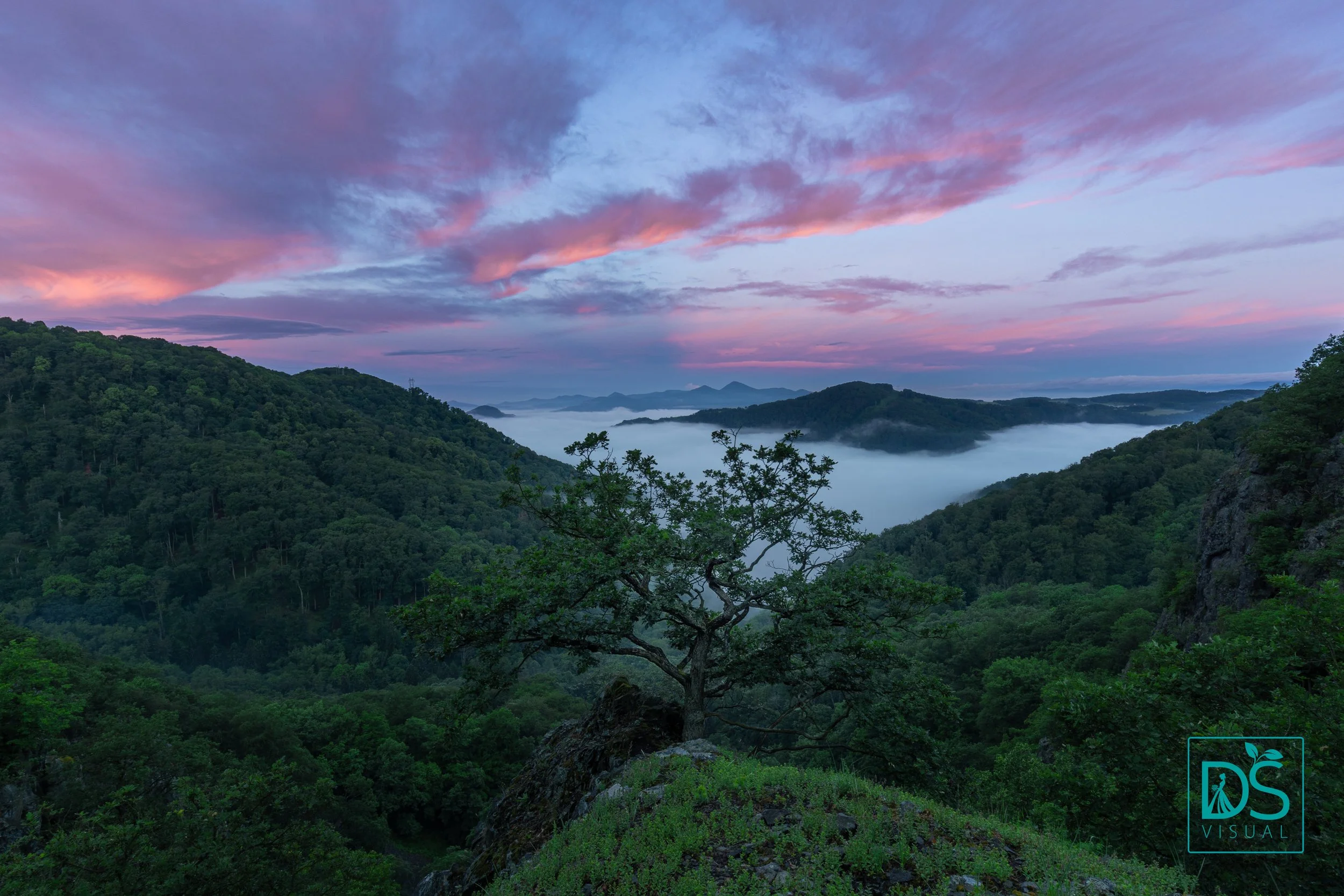 Krkavčí skála ružová.jpg