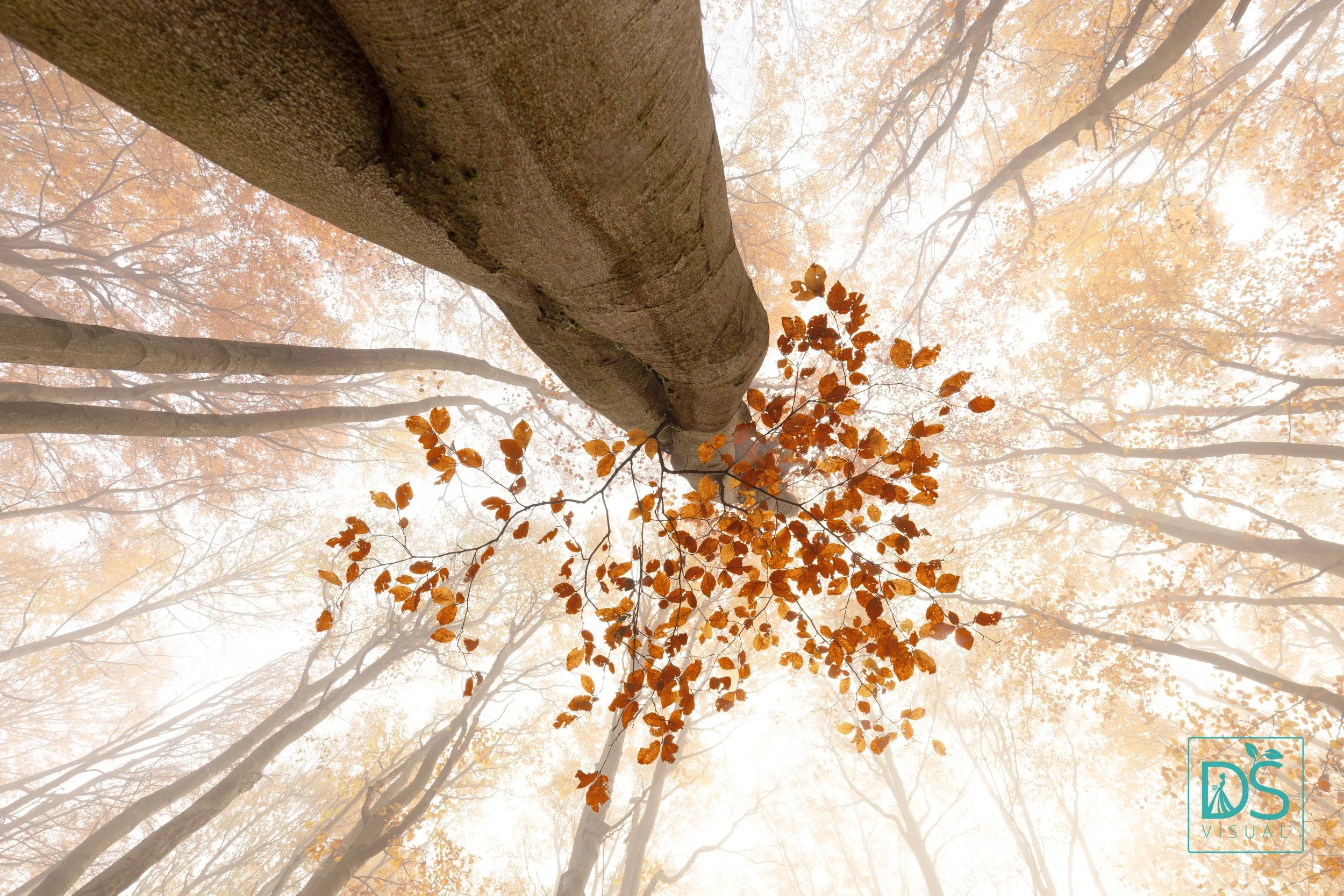 Bouřňák listopad (3 of 9).jpg