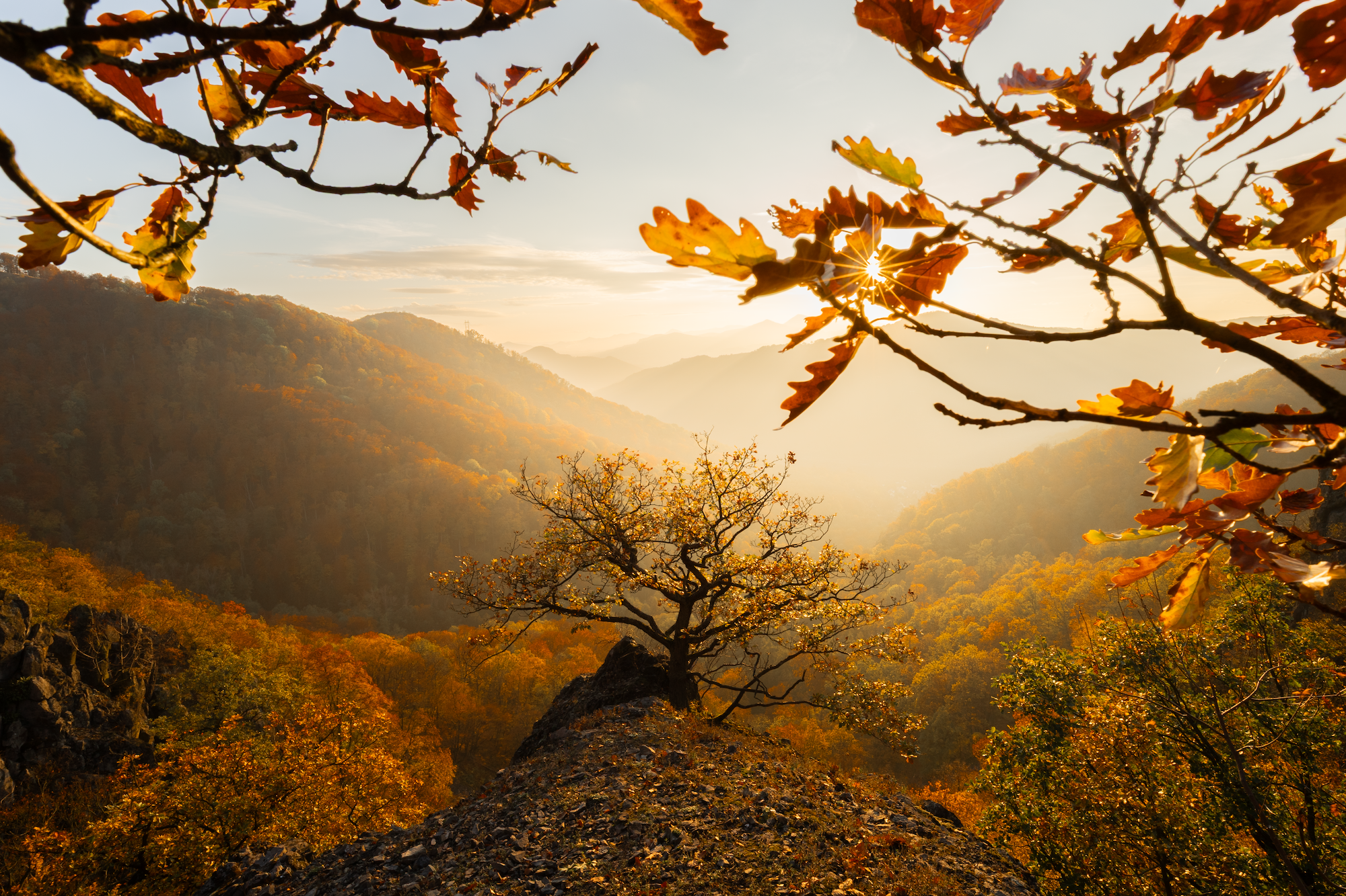 České Středohoří