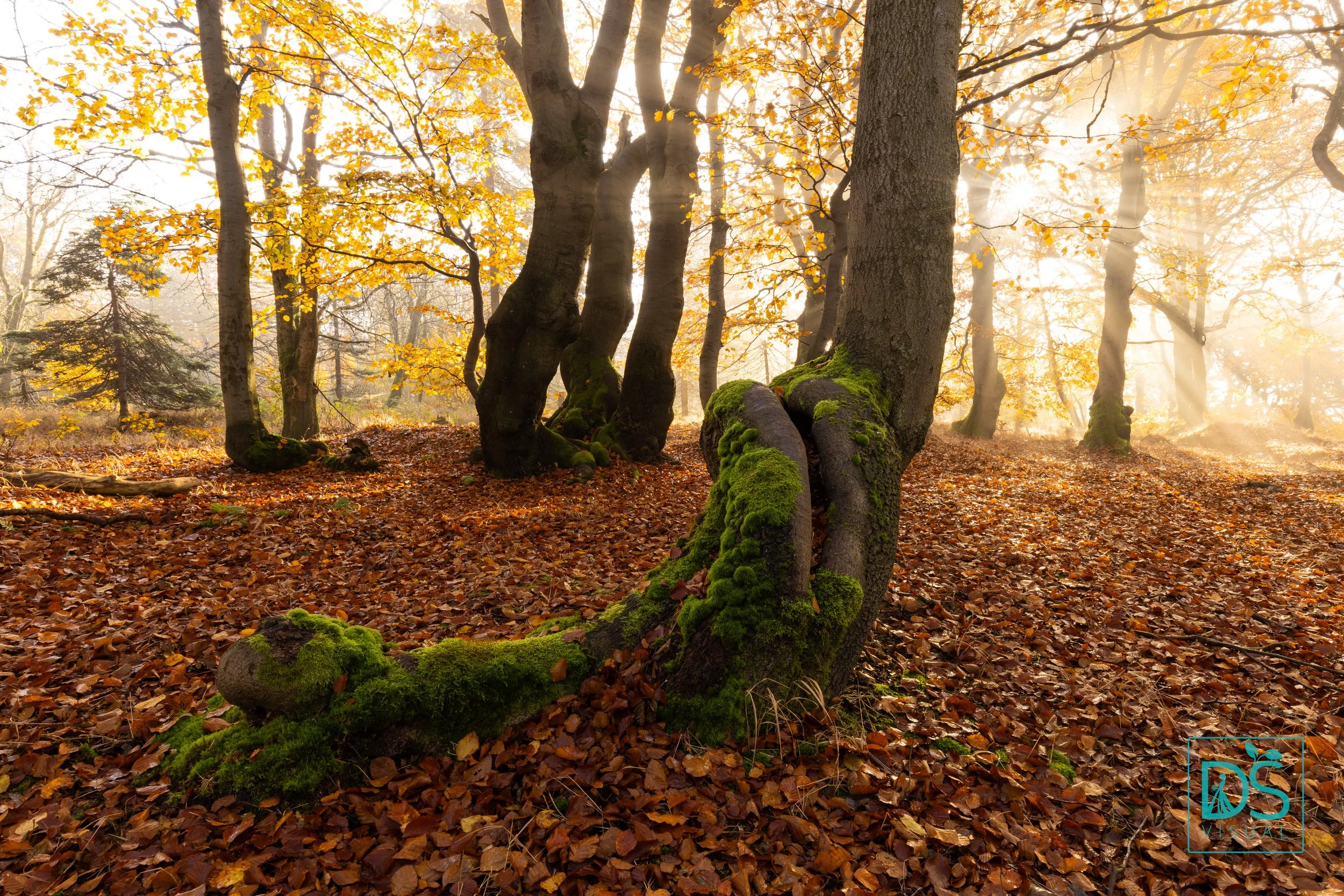 Bouřňák listopad (9 of 9).jpg