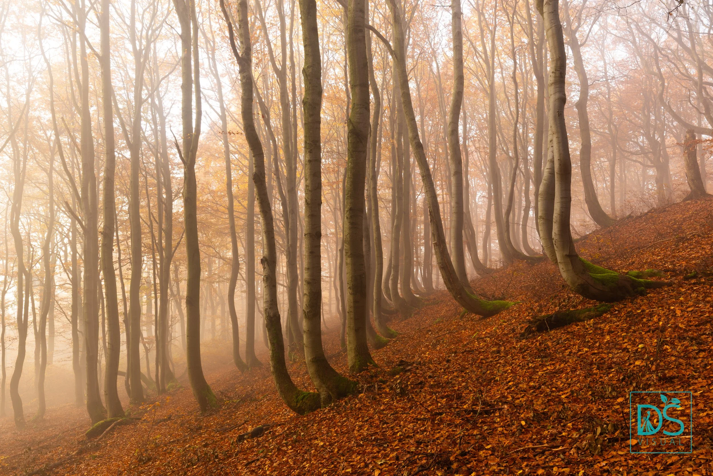 Bouřňák listopad (2 of 9).jpg