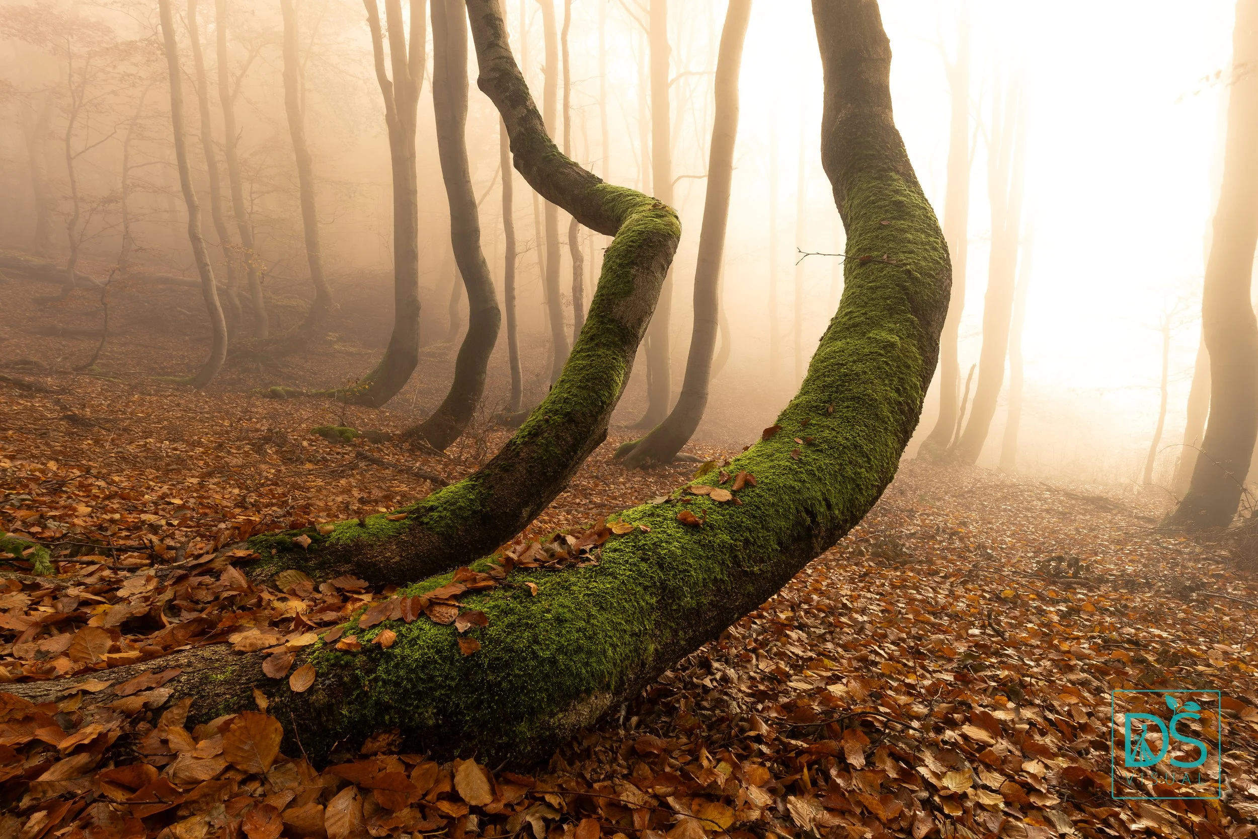 Bouřňák listopad (5 of 9).jpg