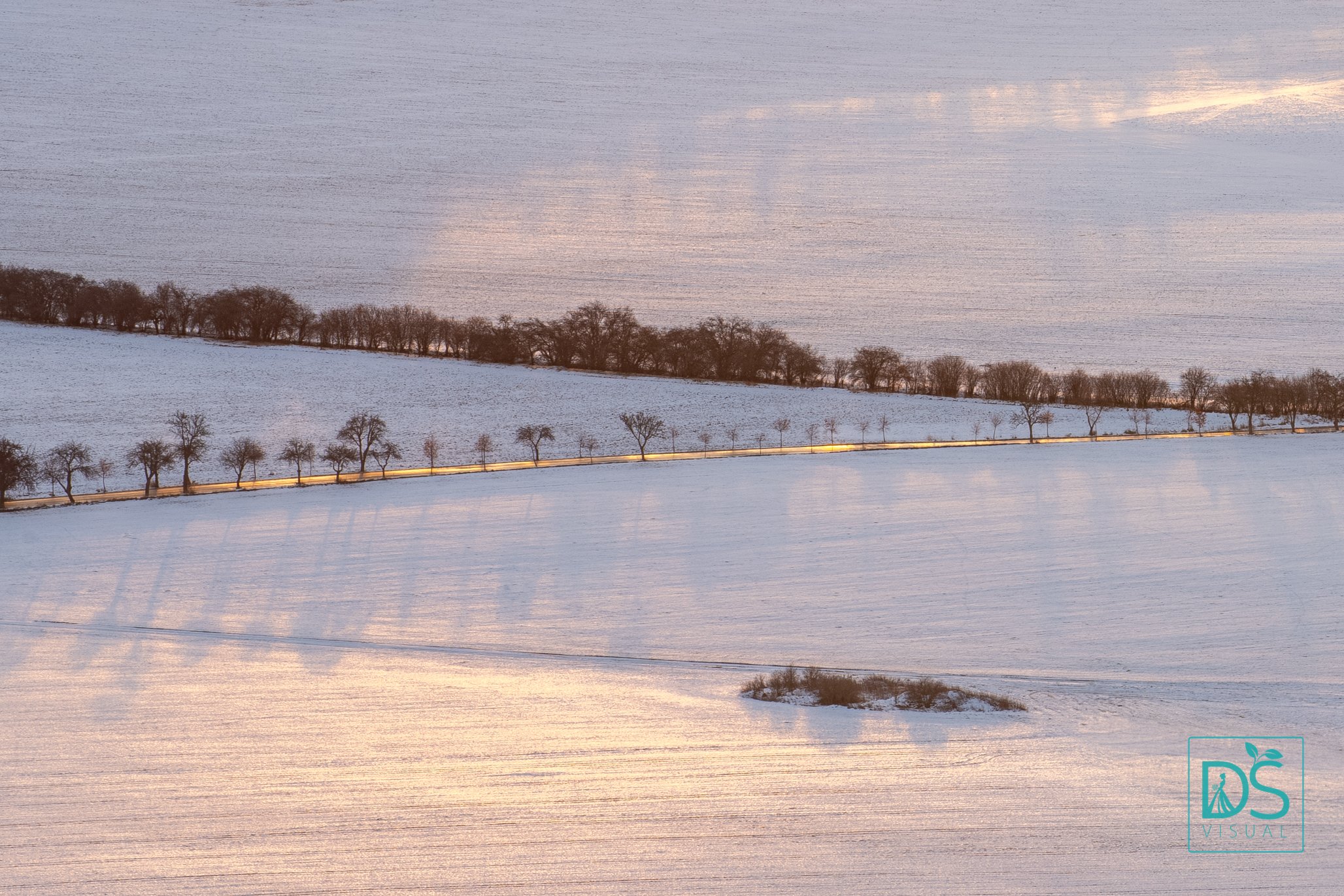 Výhled z Ostrého.jpg