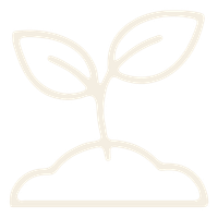 Focus op wat wel lukt tijdens ADHD coaching