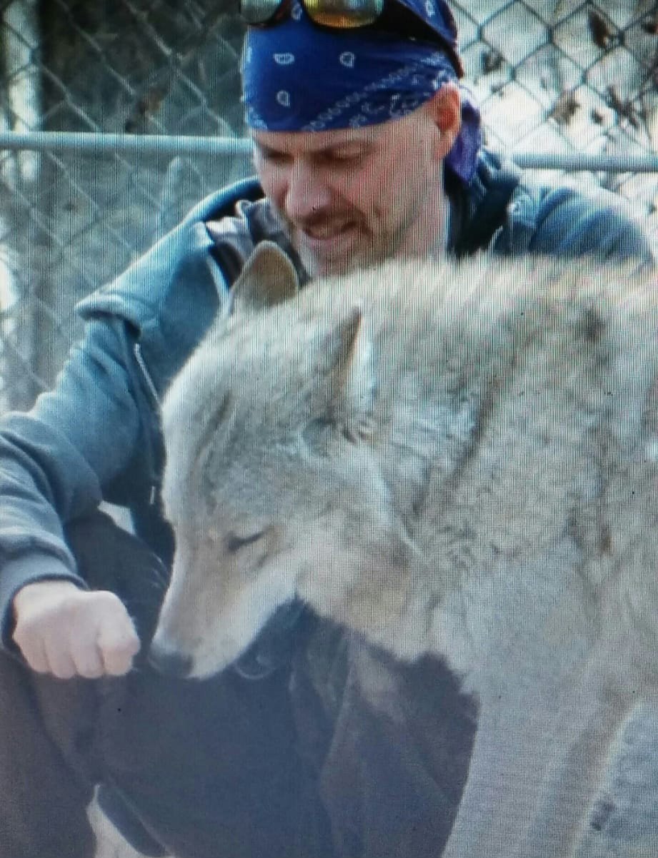 A man wearing a blue bandana and a blue jacket petting a gray and white husky dog near a chain-link fence.