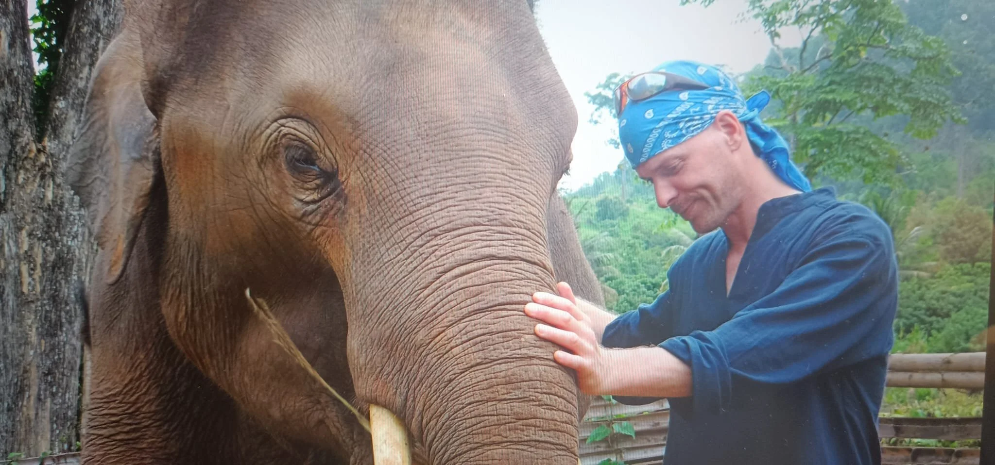 A man, wearing a blue bandana and a dark jacket, is petting an elephant on its face with his eyes closed and a gentle smile, in an outdoor setting with green trees and a wooden fence in the background.