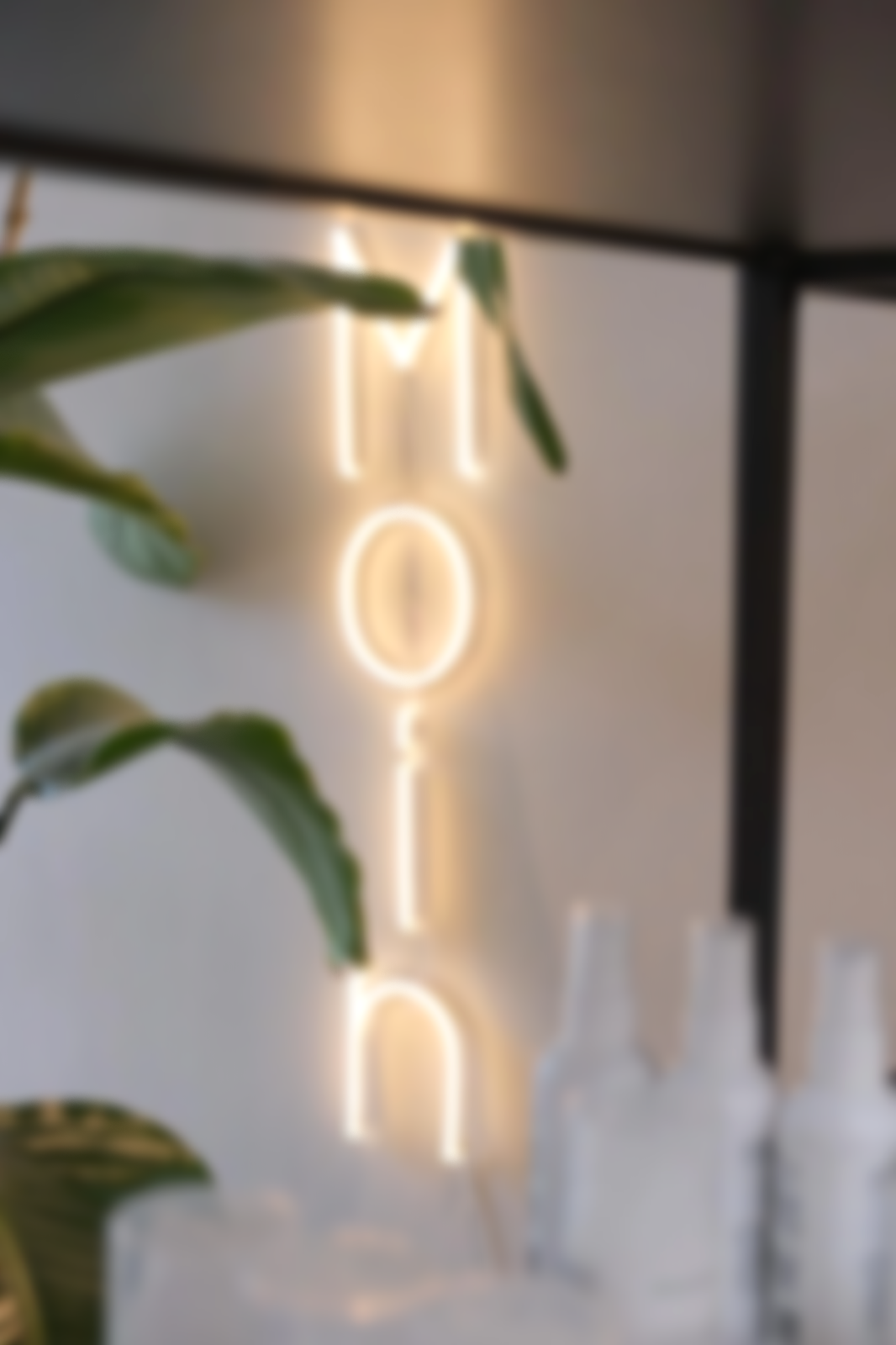 Neon-Schriftzug, der das Wort 'moin' bildet, an einer Wand mit einigen grünen Pflanzen im Vordergrund.