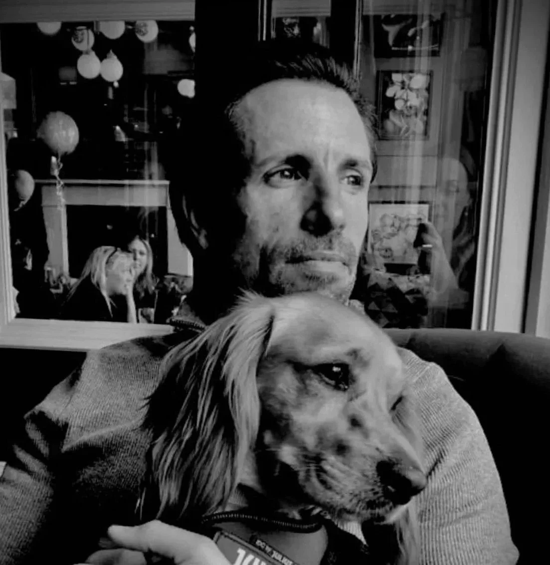 Dog trainer with working cocker spaniel in Teddington