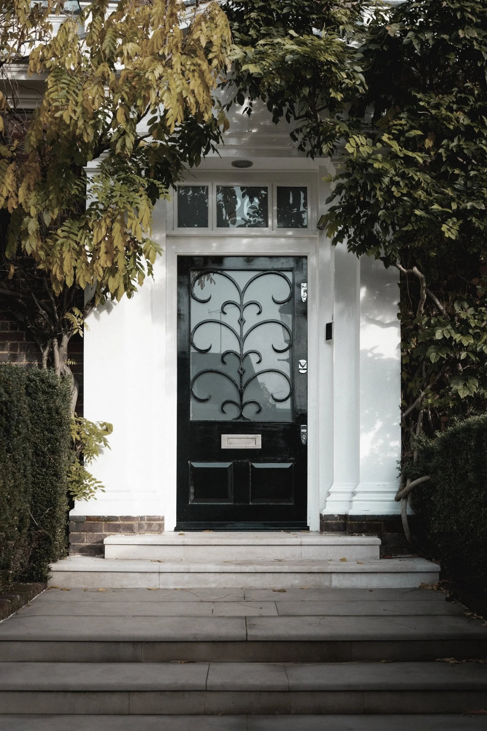 Front entrance of a house that's had in person dog training Teddington with a black door featuring decorative wrought iron grille, above a small window, white door frame, white steps, and surrounding lush green bushes and trees.