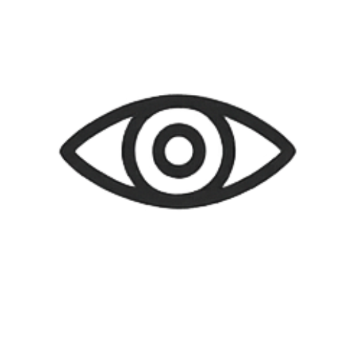 Dog practising focus and eye contact during private training session - Icon