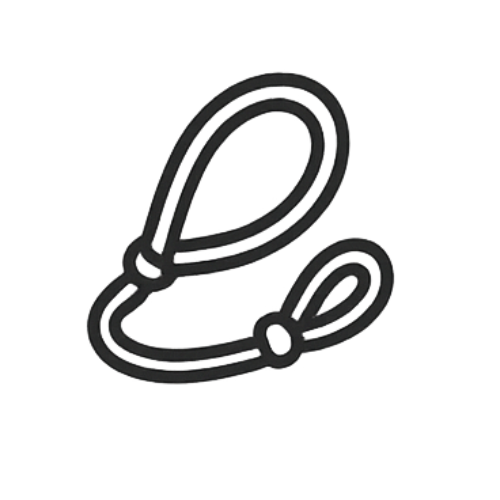 Dog learning loose lead walking with professional trainer outdoors - Icon