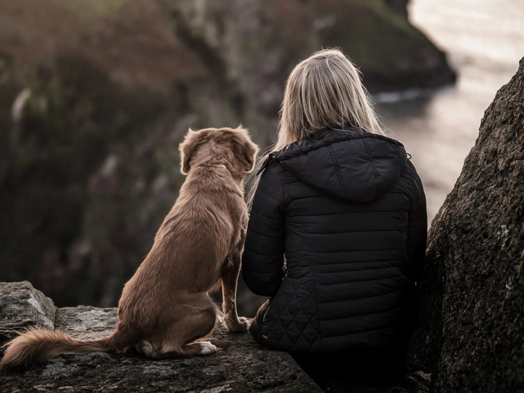 Owner and dog practising calm behaviour during private training session in Teddington