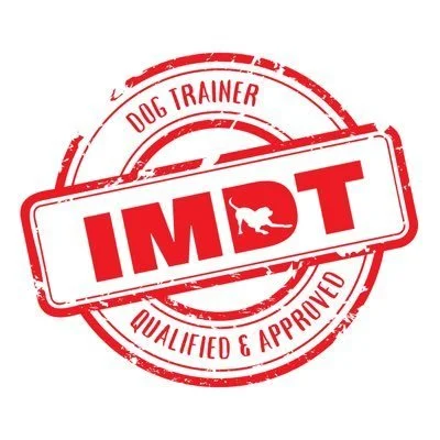 Why I Chose to Become an IMDT Qualified Dog Trainer (and What That Means for You and Your Dog)