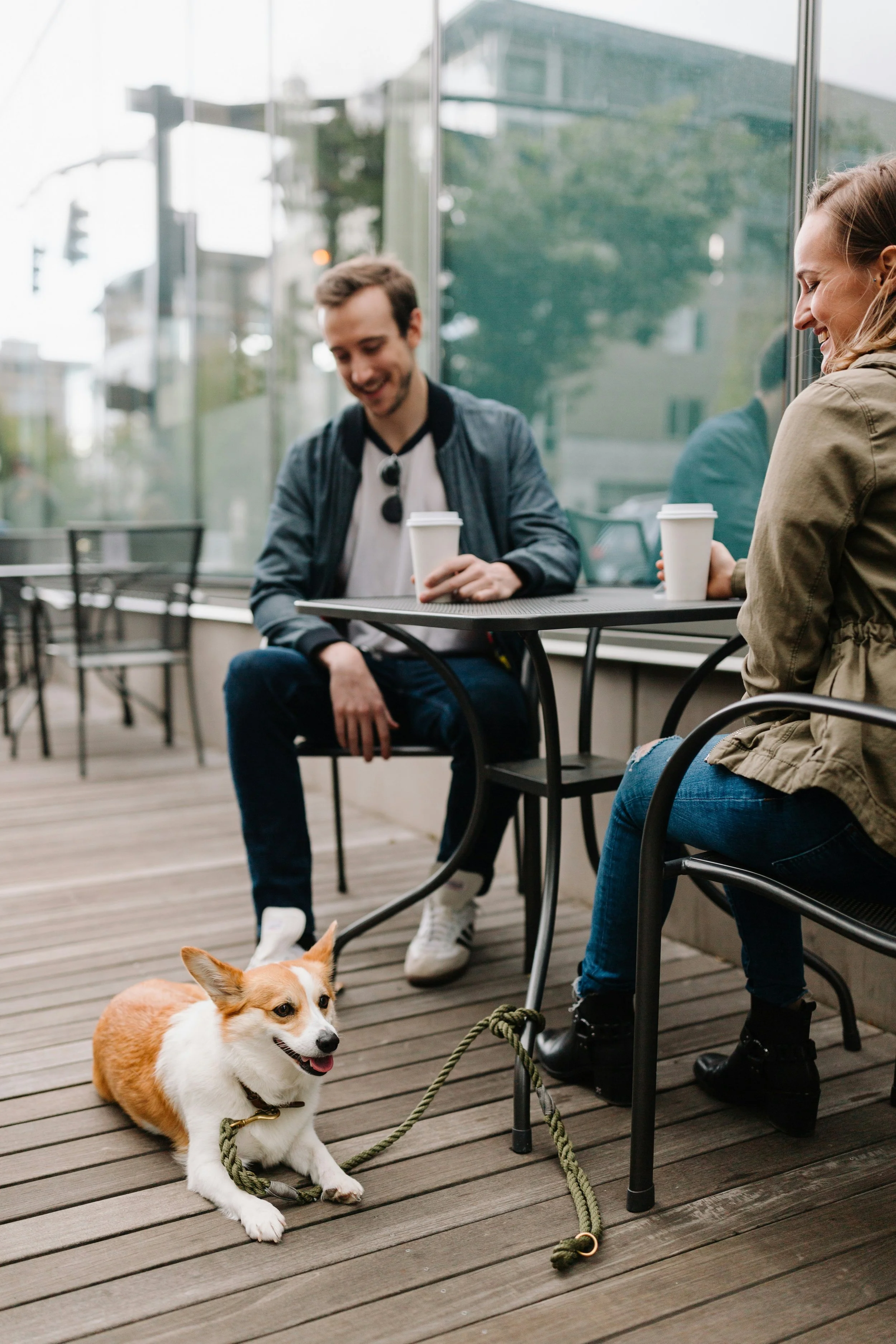 Help Your Dog Settle During a Café Visit
