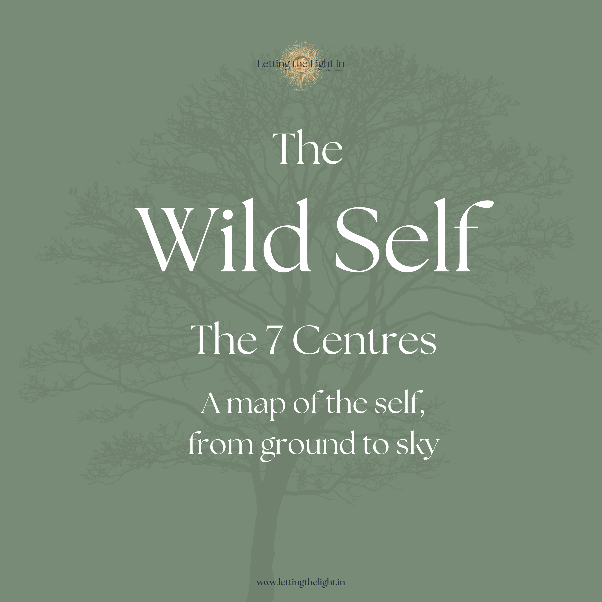 Wild Self Energy Healing - 7 Centres of Self: One-to-One, 10 weeks
