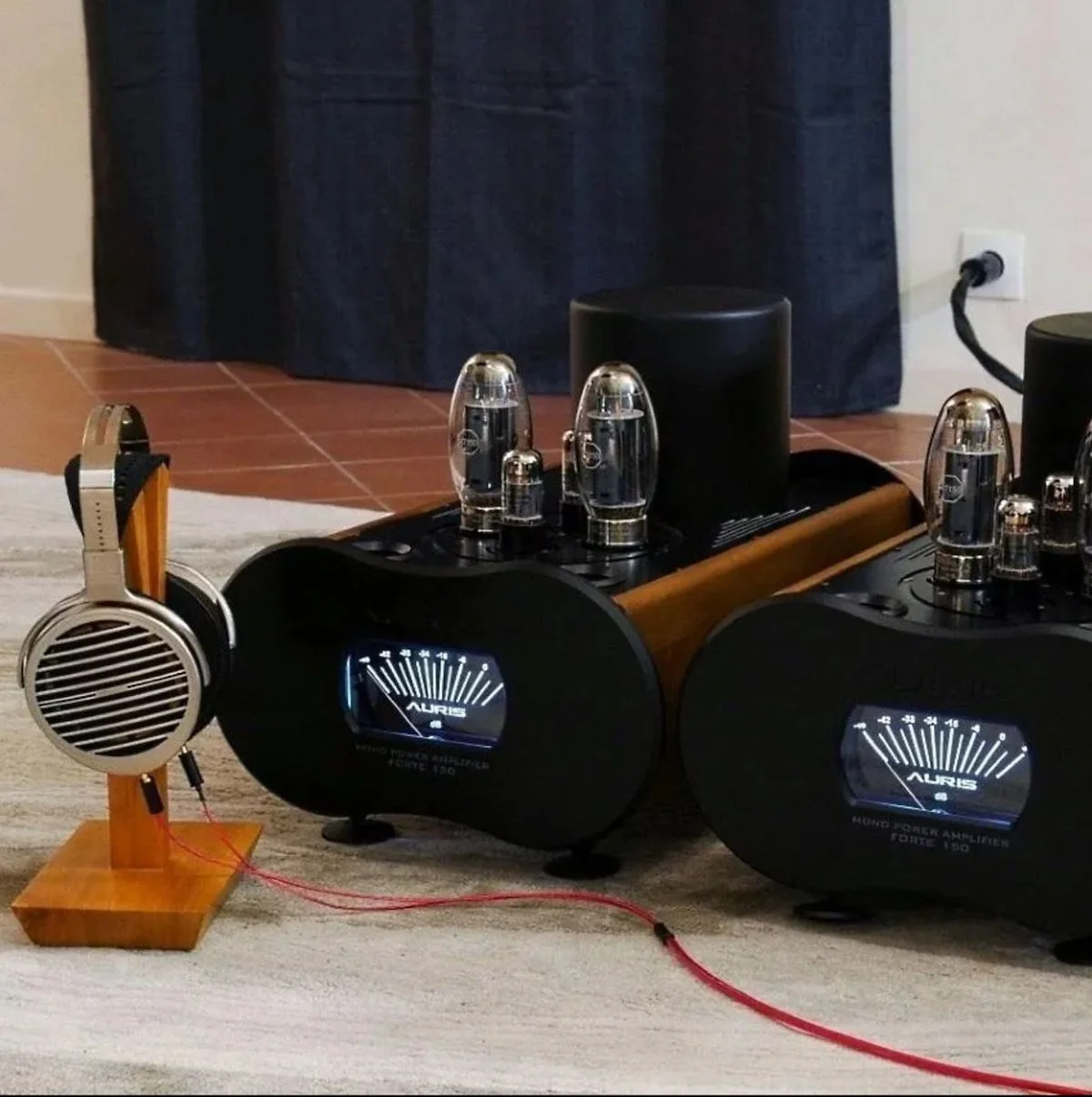 Mono Blocs Auris Forte 150 and Hifiman Susvara.JPG