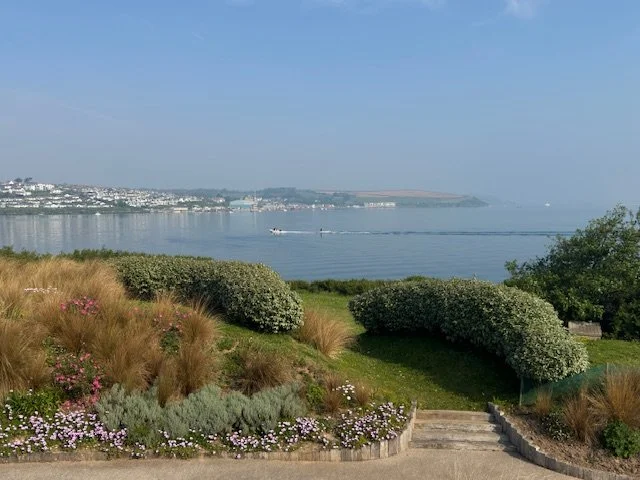 View of a calm bay with greenery and flowering bushes in the foreground, and a distant shoreline with buildings, under a blue sky.