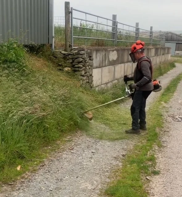 A person wearing safety gear and a red helmet is using a weed trimmer to cut grass along a gravel path next to a stone wall and metal fence.