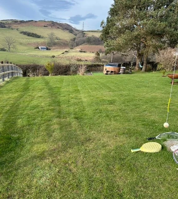 Backyard with a neatly mowed green lawn, a tree, a fenced area, and rolling hills in the background. There are some outdoor tools and a ball on the grass.