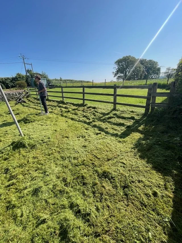 Person standing in a grassy field next to a wooden fence under a clear blue sky, with a power line and trees in the background.