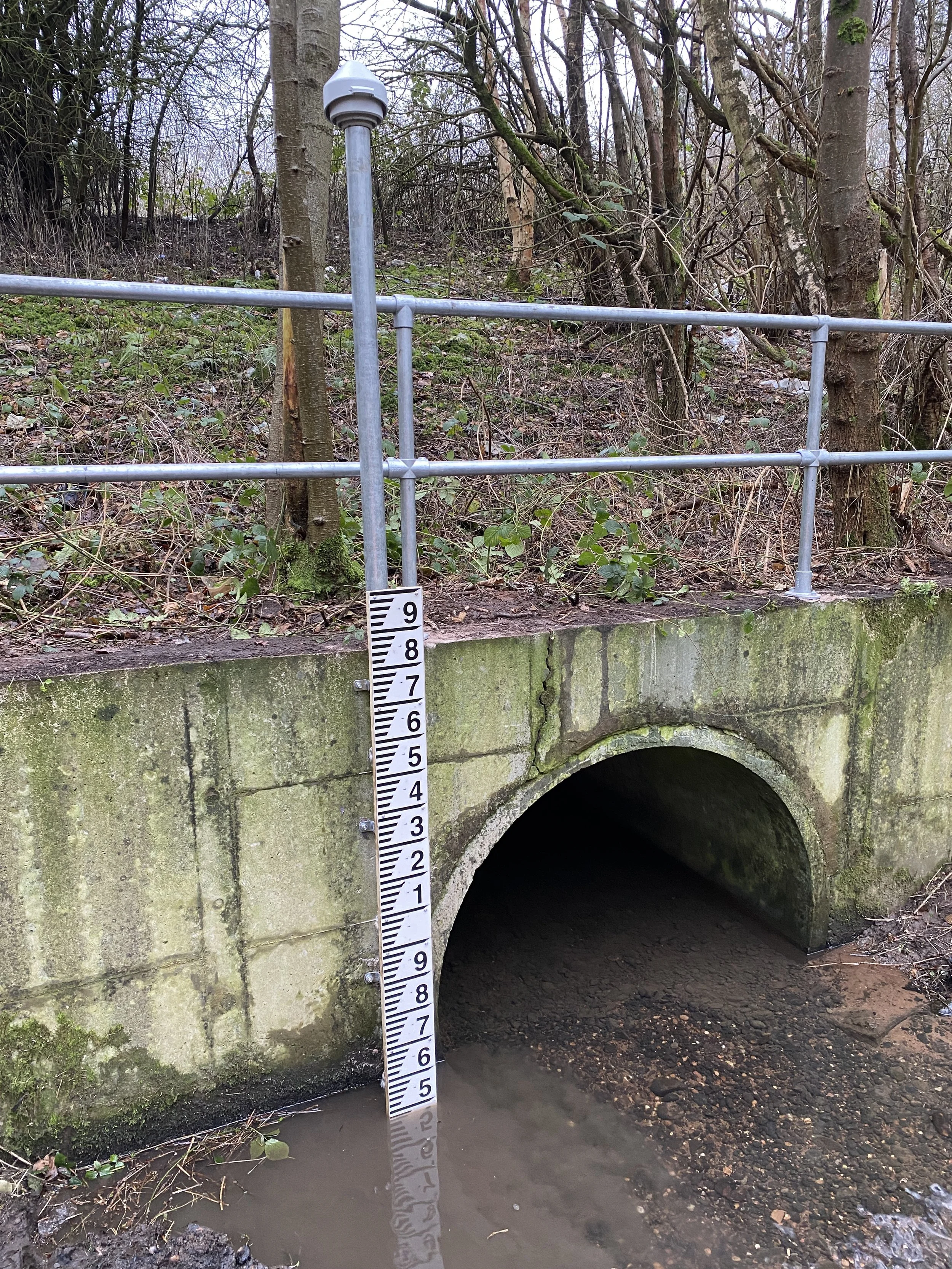 A drainage pipe under a concrete wall with a measuring stick next to it, showing water levels at about 5 feet. There is a metal railing on top of the wall and trees and bushes in the background.