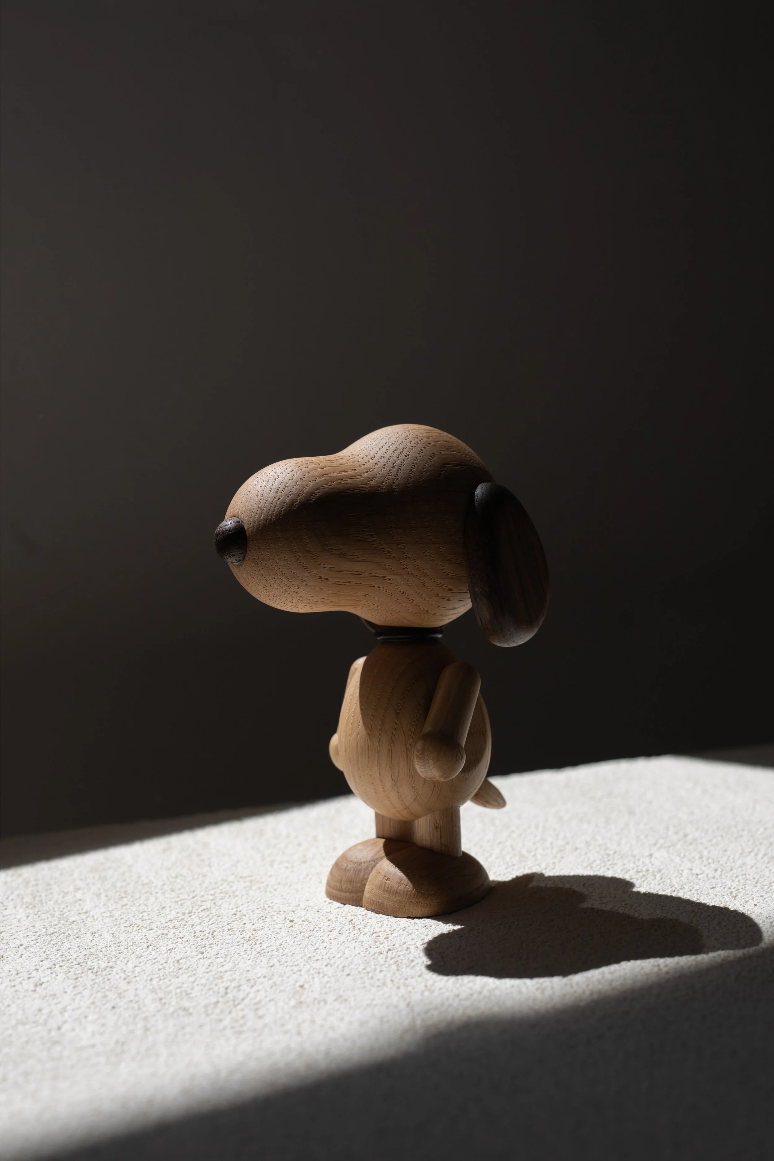 Boyhood x Peanuts_snoopy_small_400111_1.jpg