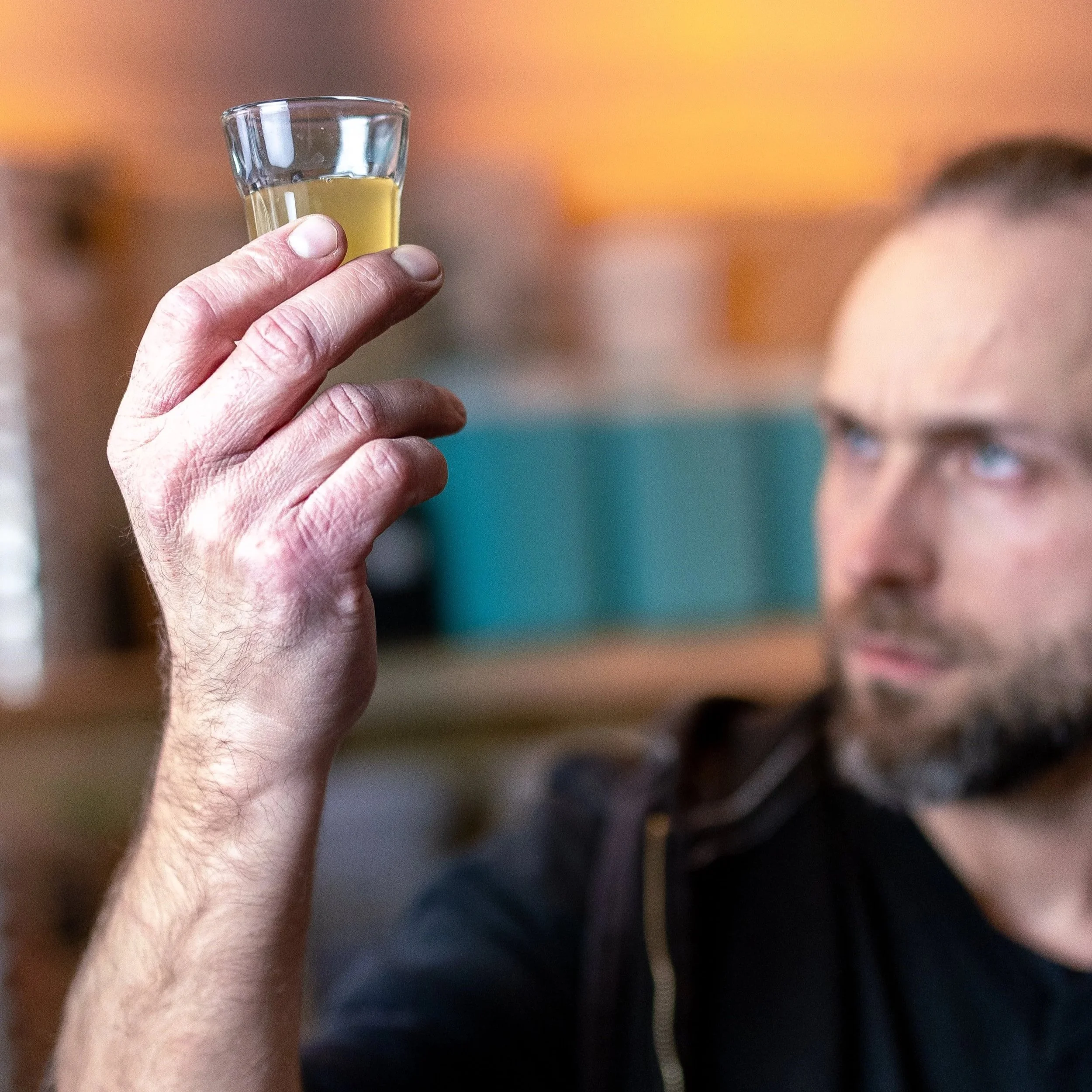 A man holding a small glass of yellowish kombucha, while looking at it in a bar or pub setting.