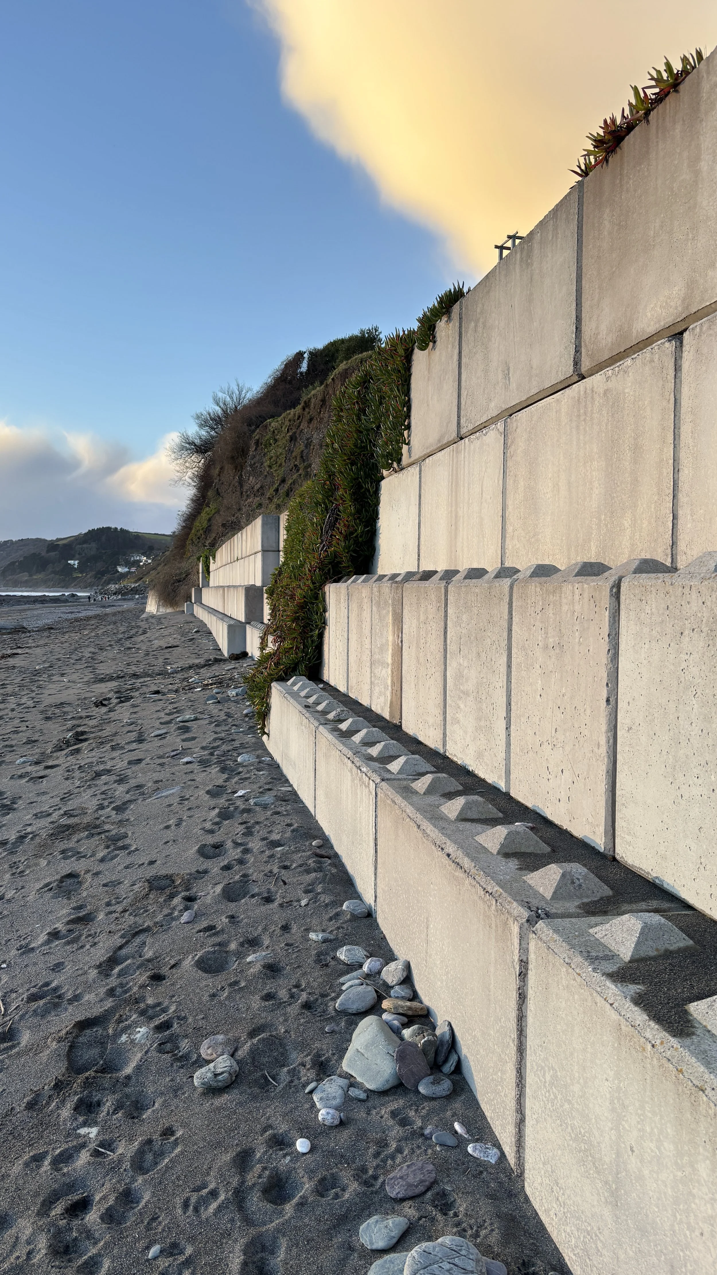 Concrete sea wall with plants growing on top, along a sandy beach during sunset.