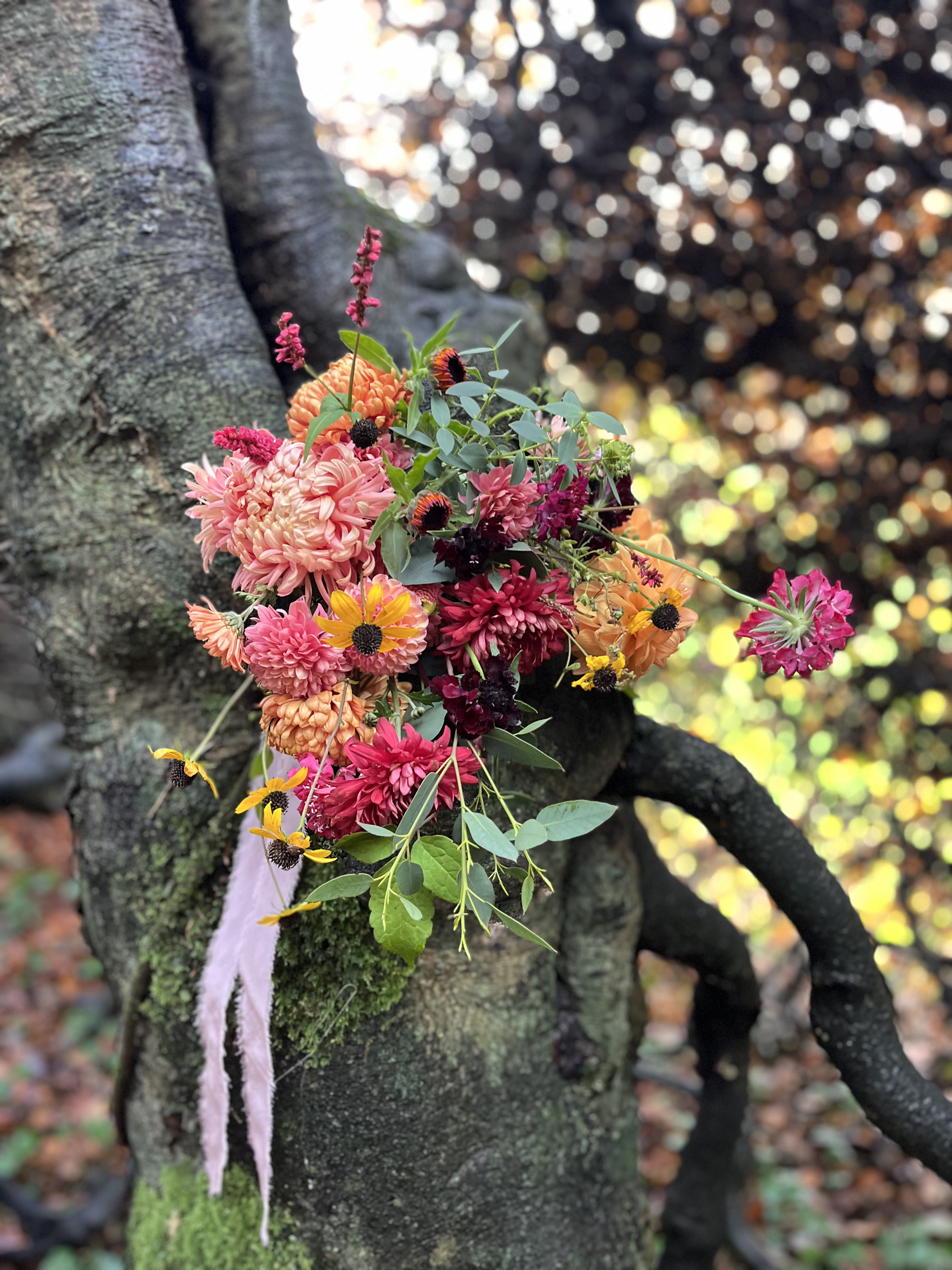 A bouquet of colorful flowers including pink, orange, yellow, and dark purple blossoms arranged on the side of a tree trunk in a forest setting.