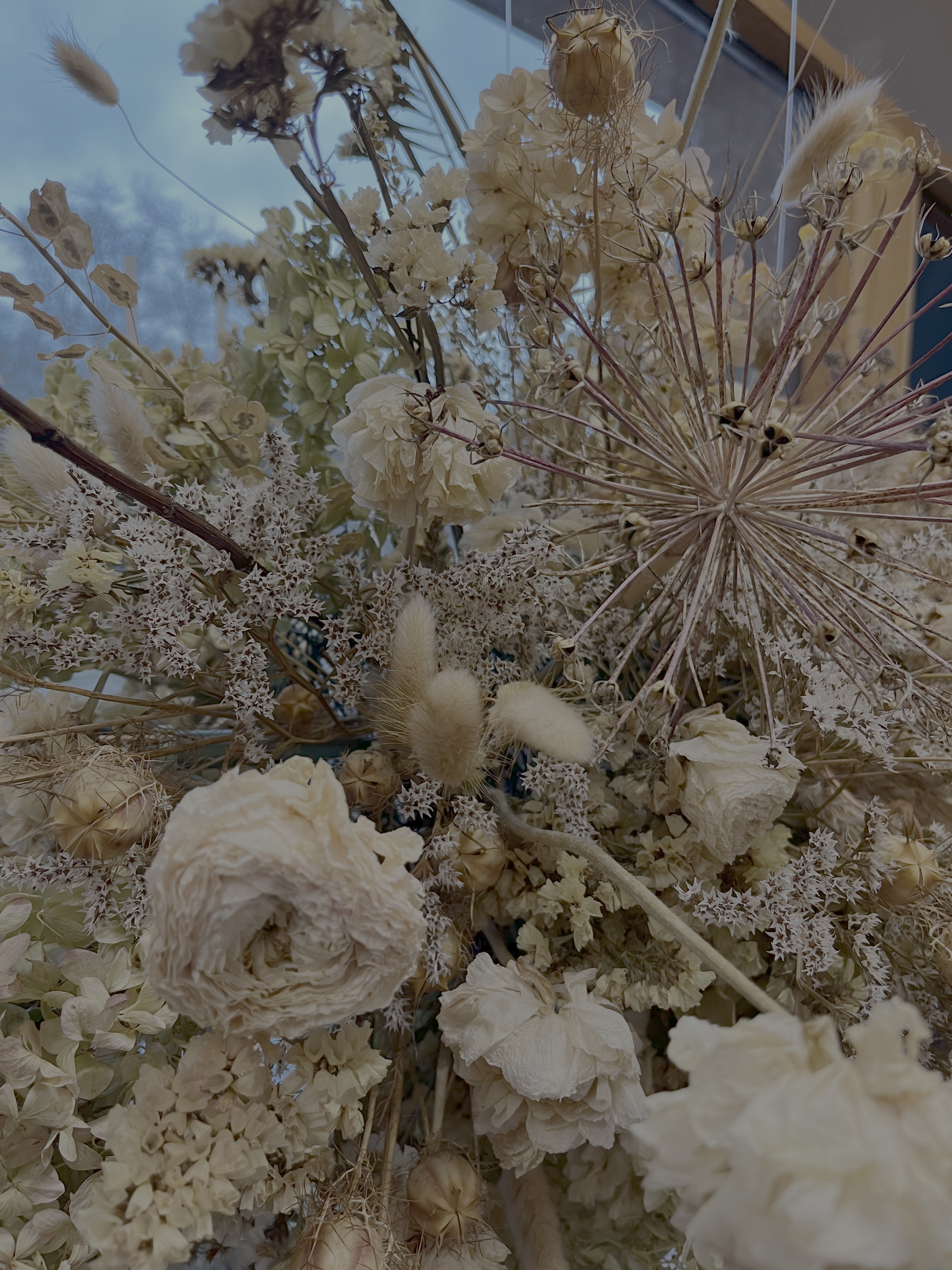 A close-up of a dried floral arrangement with white and beige flowers, seed pods, and stems.