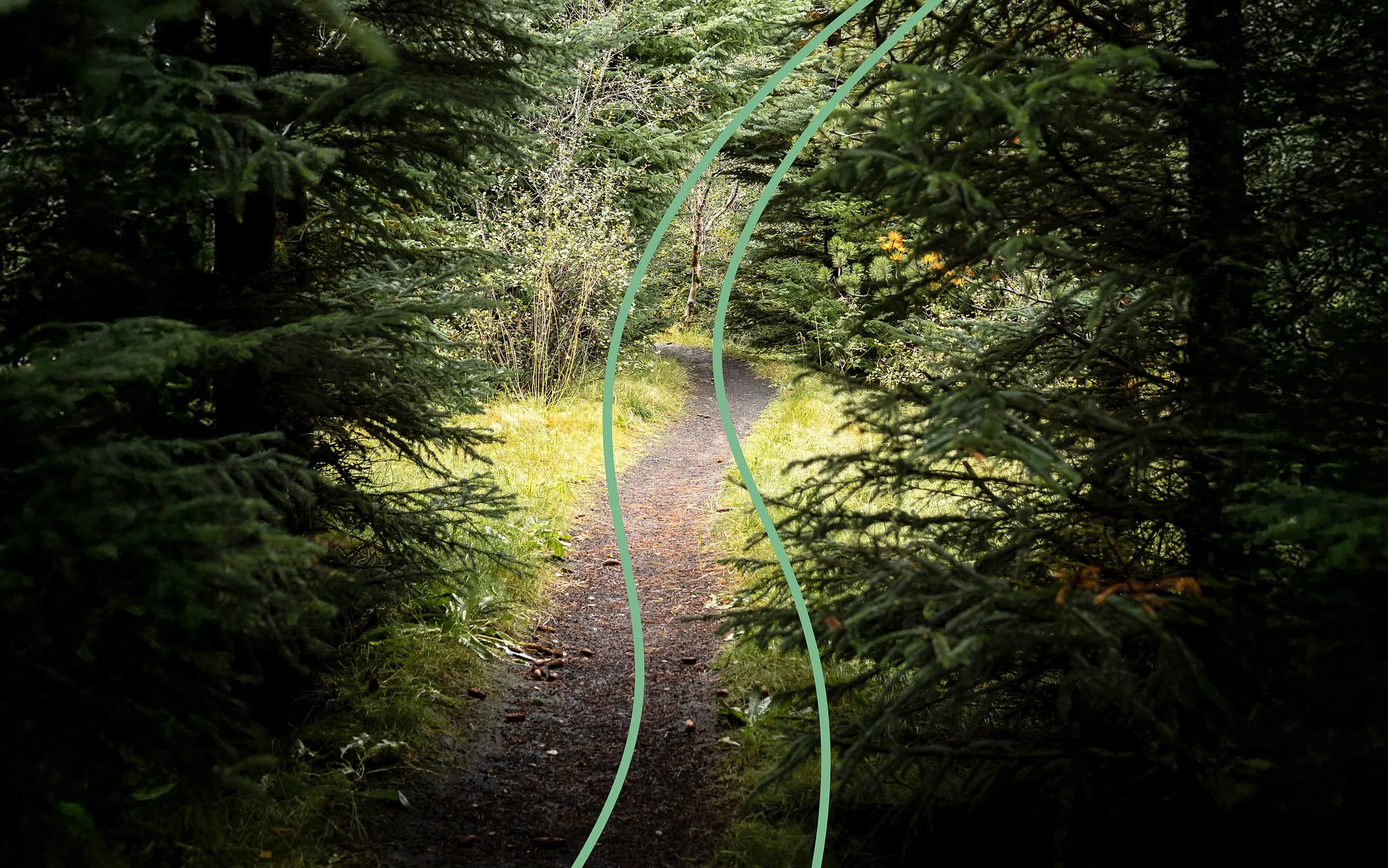 Táknræn mynd af vegferð til bættrar andlegrar heilsu – sálfræðiþjónusta Sálfræðiklíníkarinnar í Kópavogi.