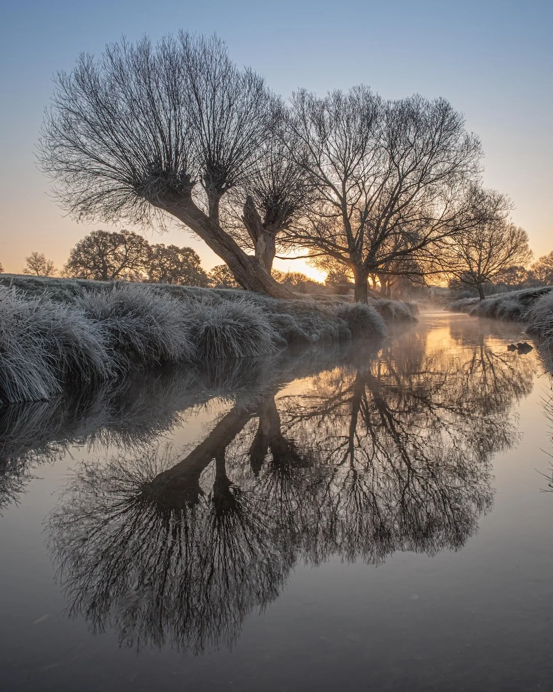 Beverley Brook, Richmond Park, London 

  Water + Edges, Life + Ecology  	