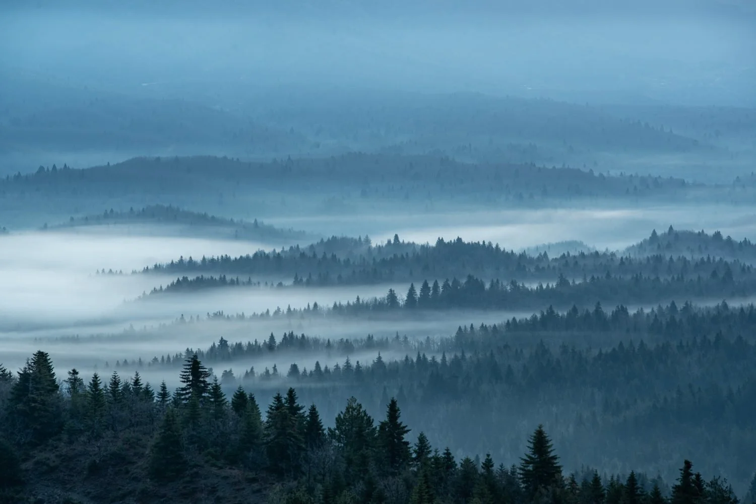 A landscape of rolling forested hills shrouded in dense fog and mist, with layers of trees fading into the distance under a cloudy sky.