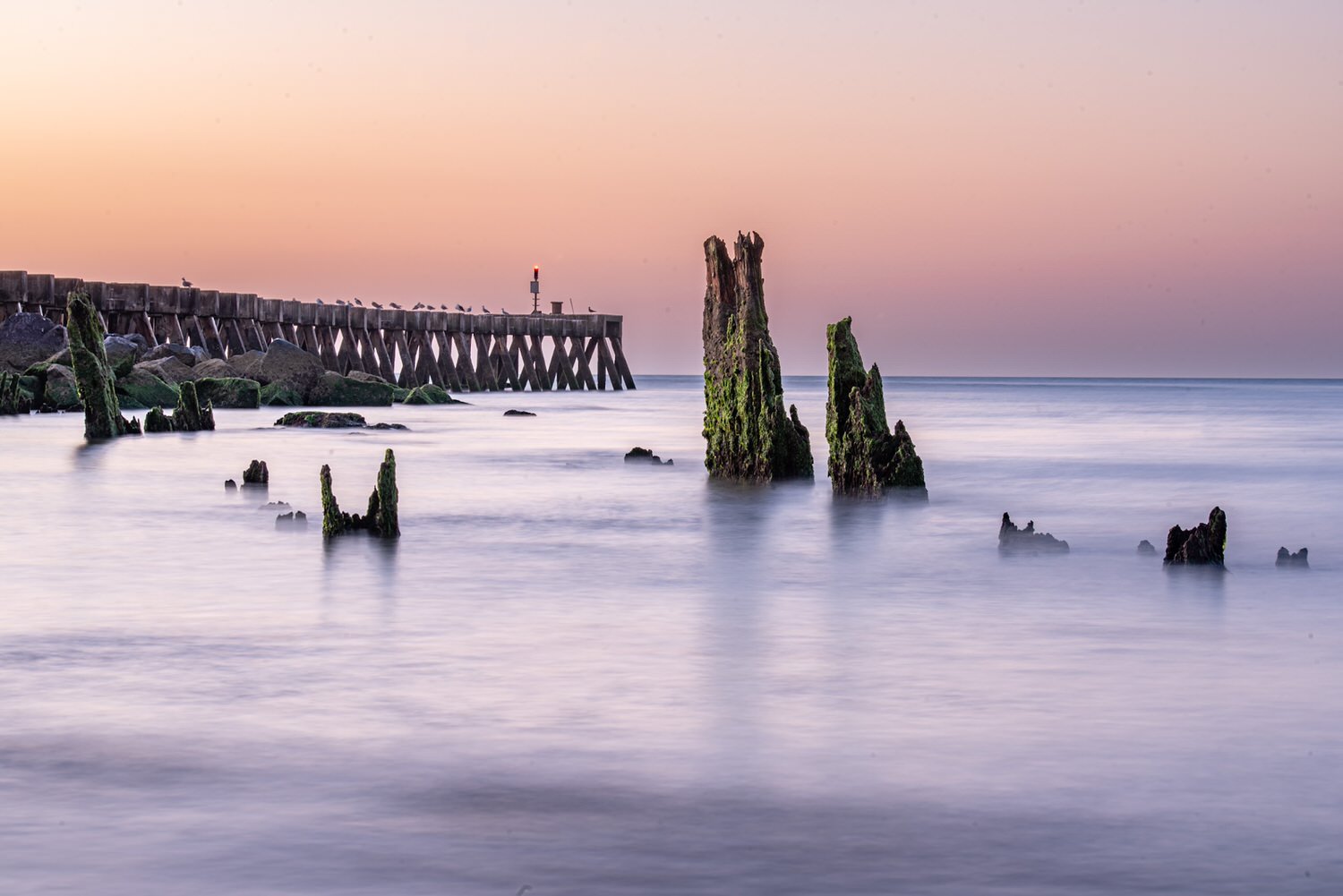 An ocean scene at sunset with weathered wooden pilings covered in green moss, some rocks on the shoreline, and a long wooden pier extending into the water with seagulls resting on it. The sky is pastel pink and orange.
