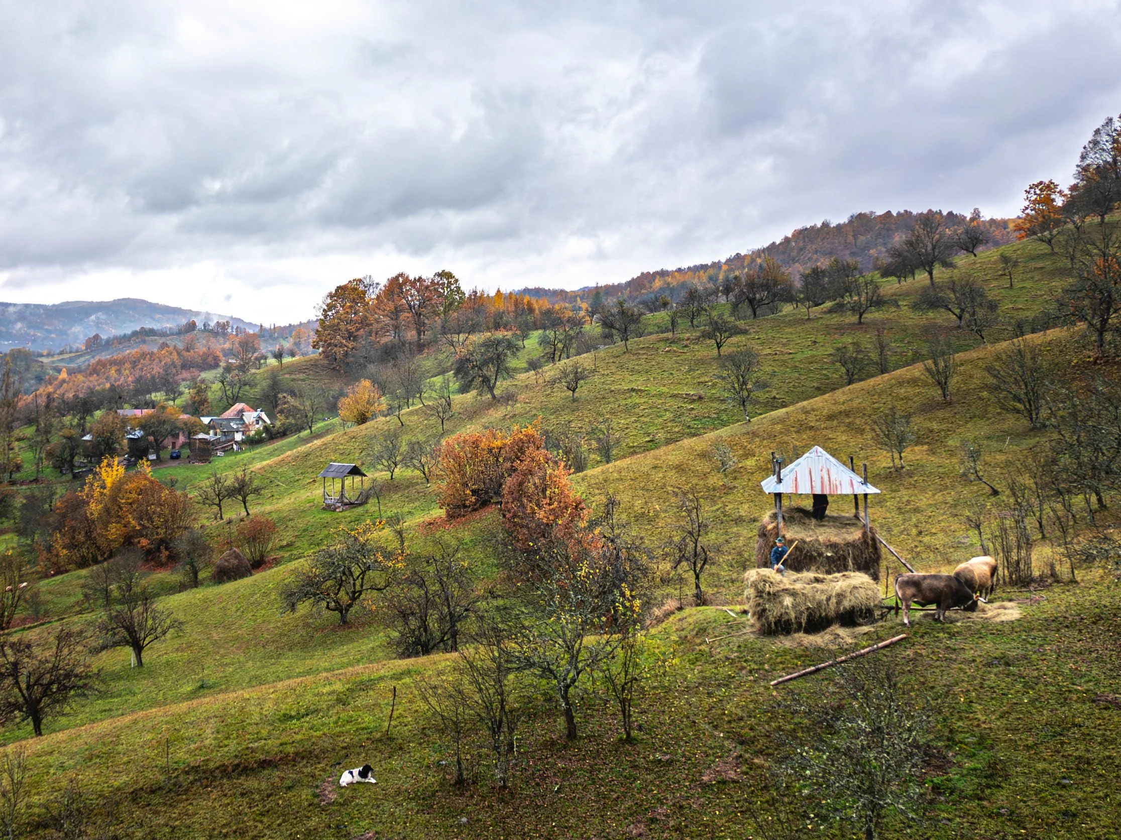 Moving The Hay, Maramures - Romania

  Built Traces, People + Community  