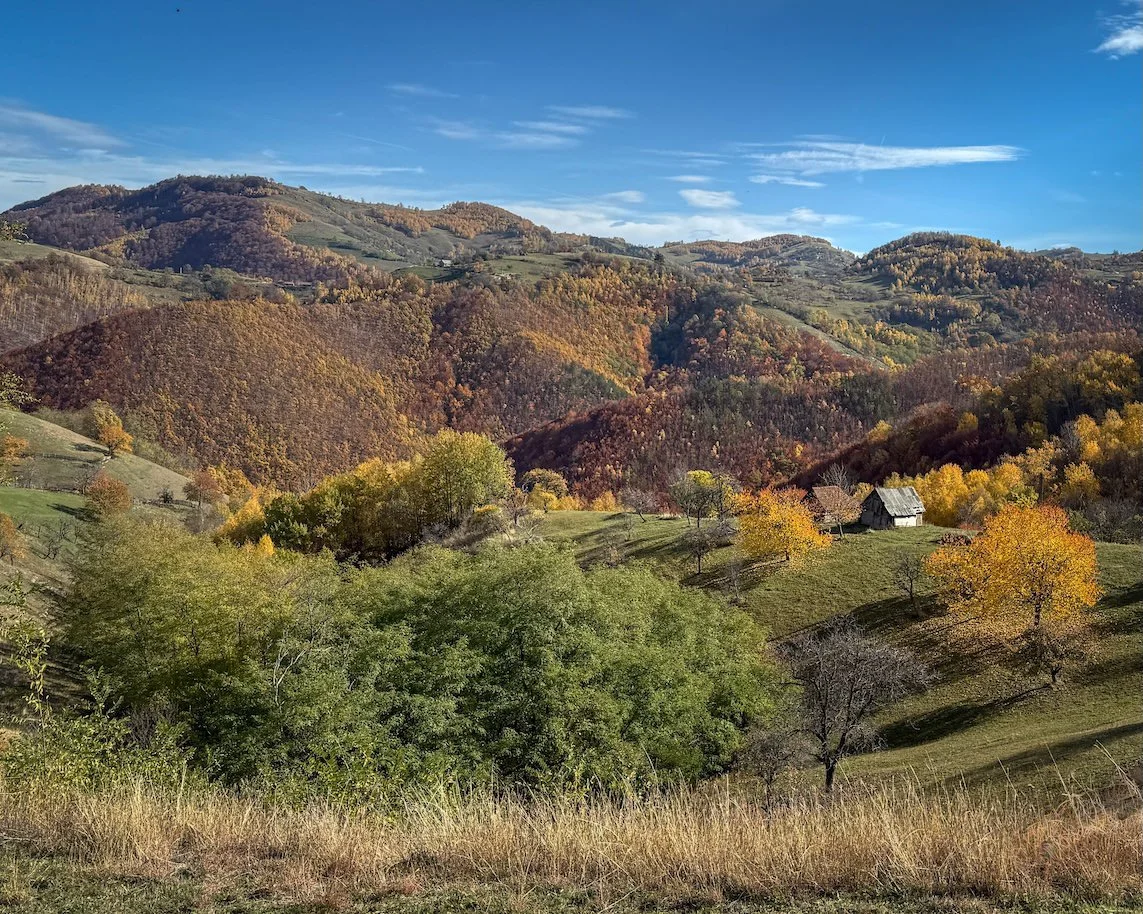 Scenic view of rolling hills and mountains with colorful autumn foliage, scattered trees, and a small farmhouse under a blue sky.