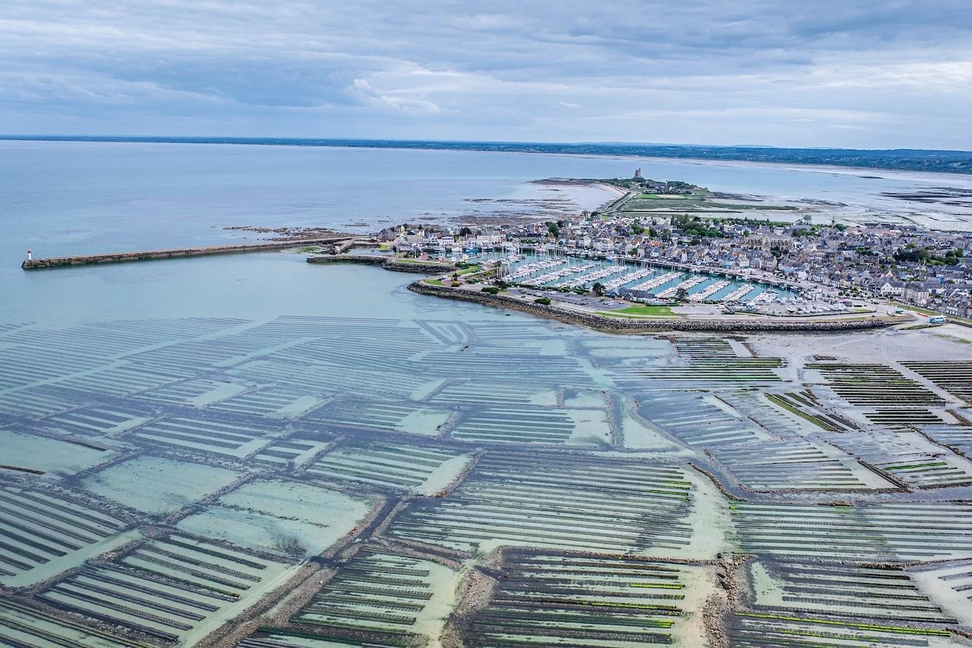 Tidal Geometry -Normandy 

  Water + Edges, Life + Ecology  
